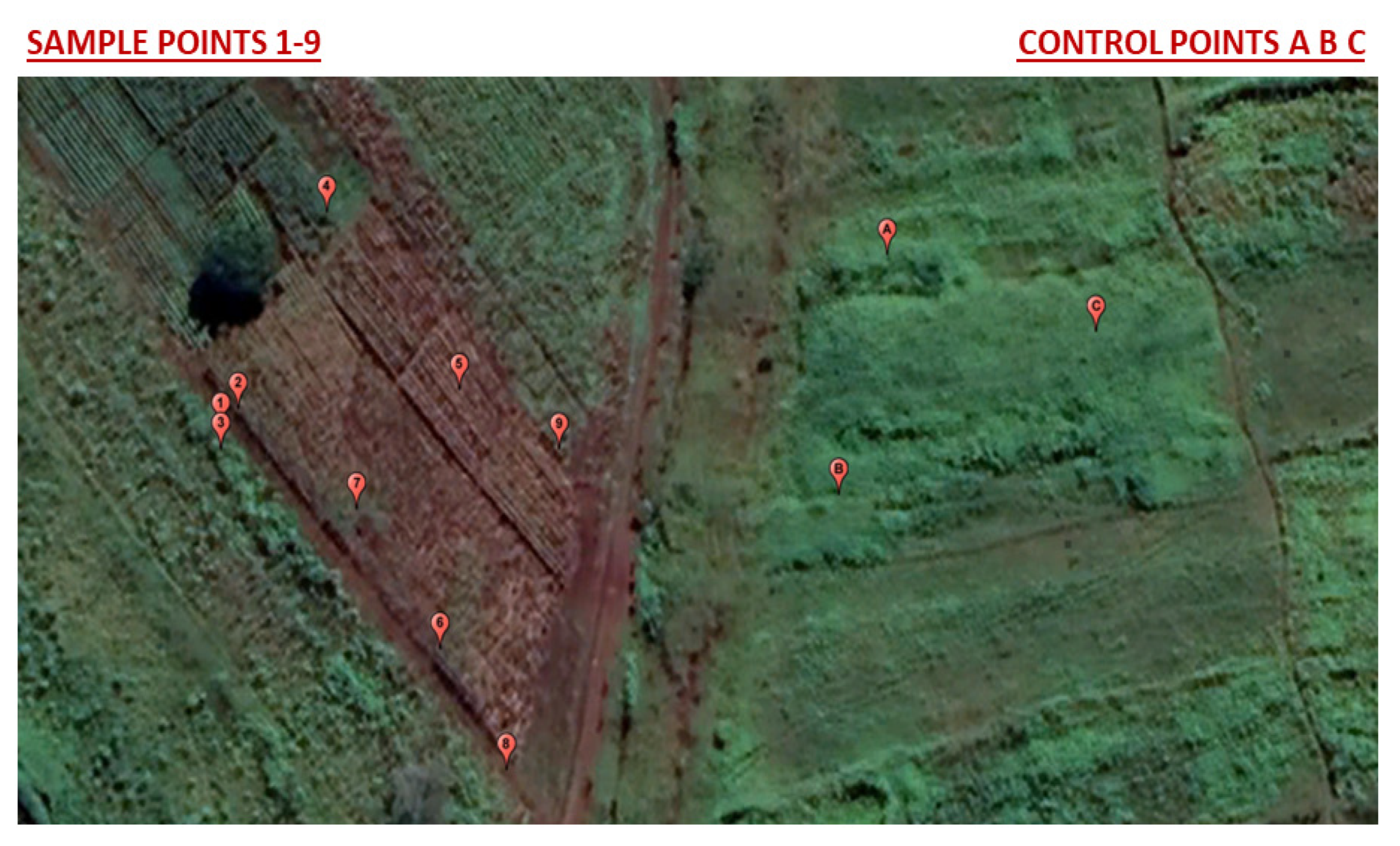 Applsci 13 03260 g002