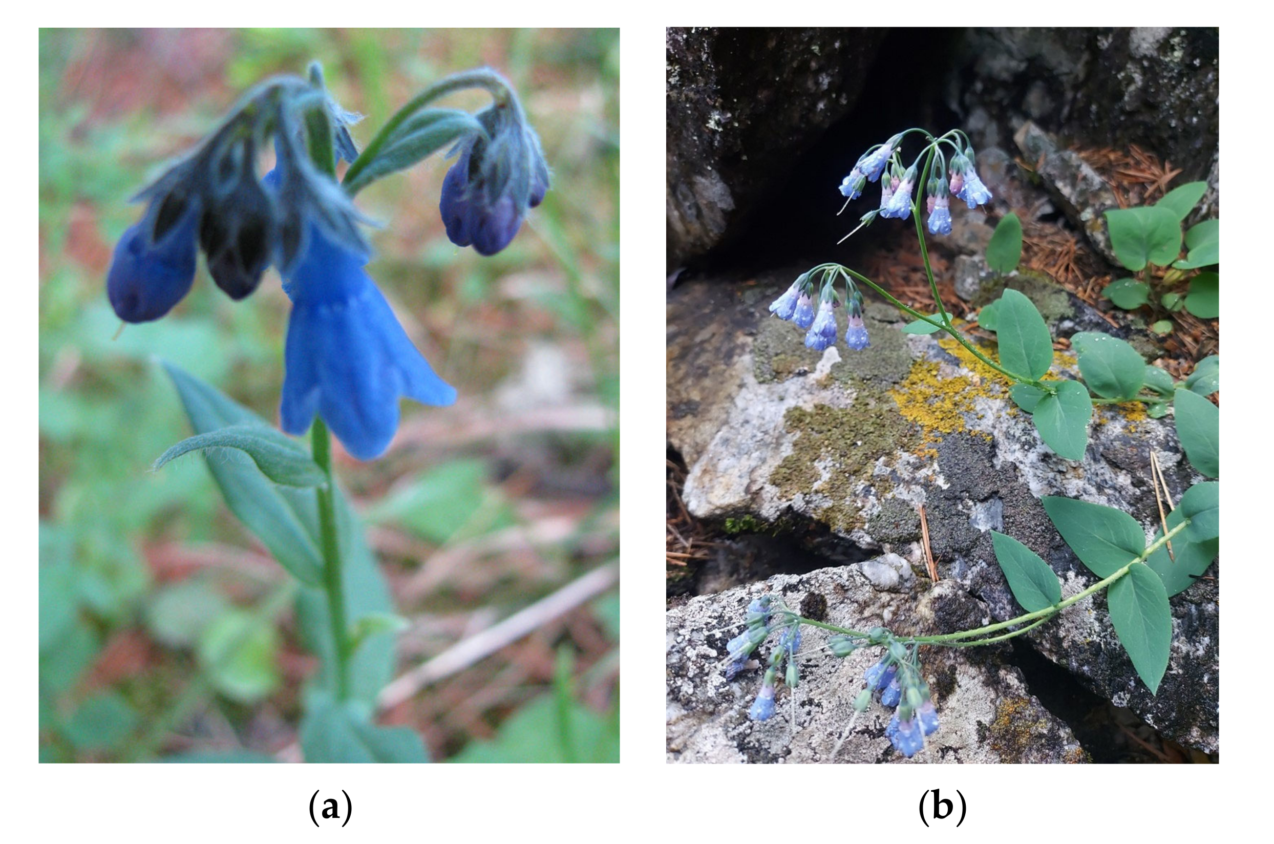 Applsci 13 03266 g001