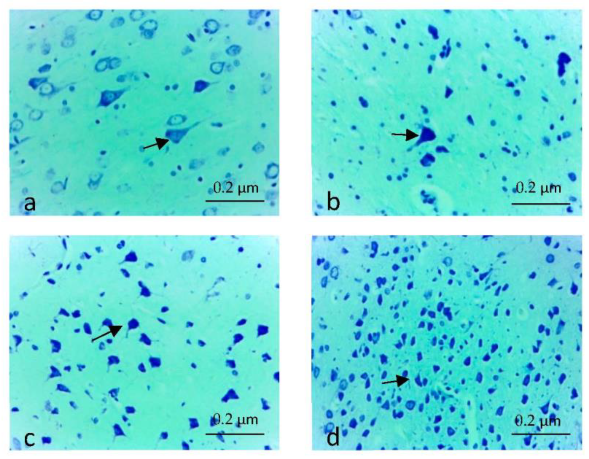 Applsci 13 03276 g001