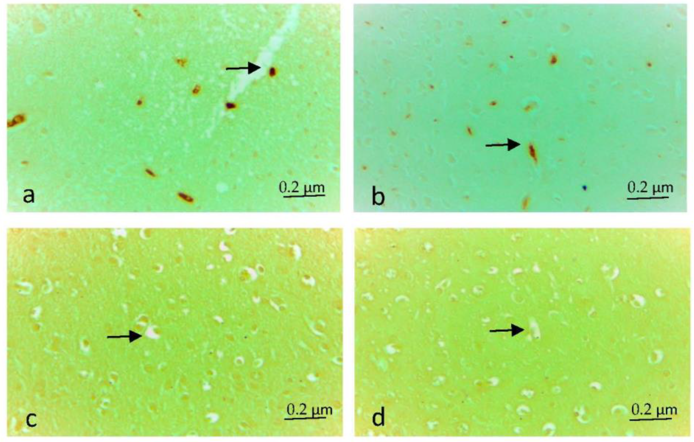 Applsci 13 03276 g002