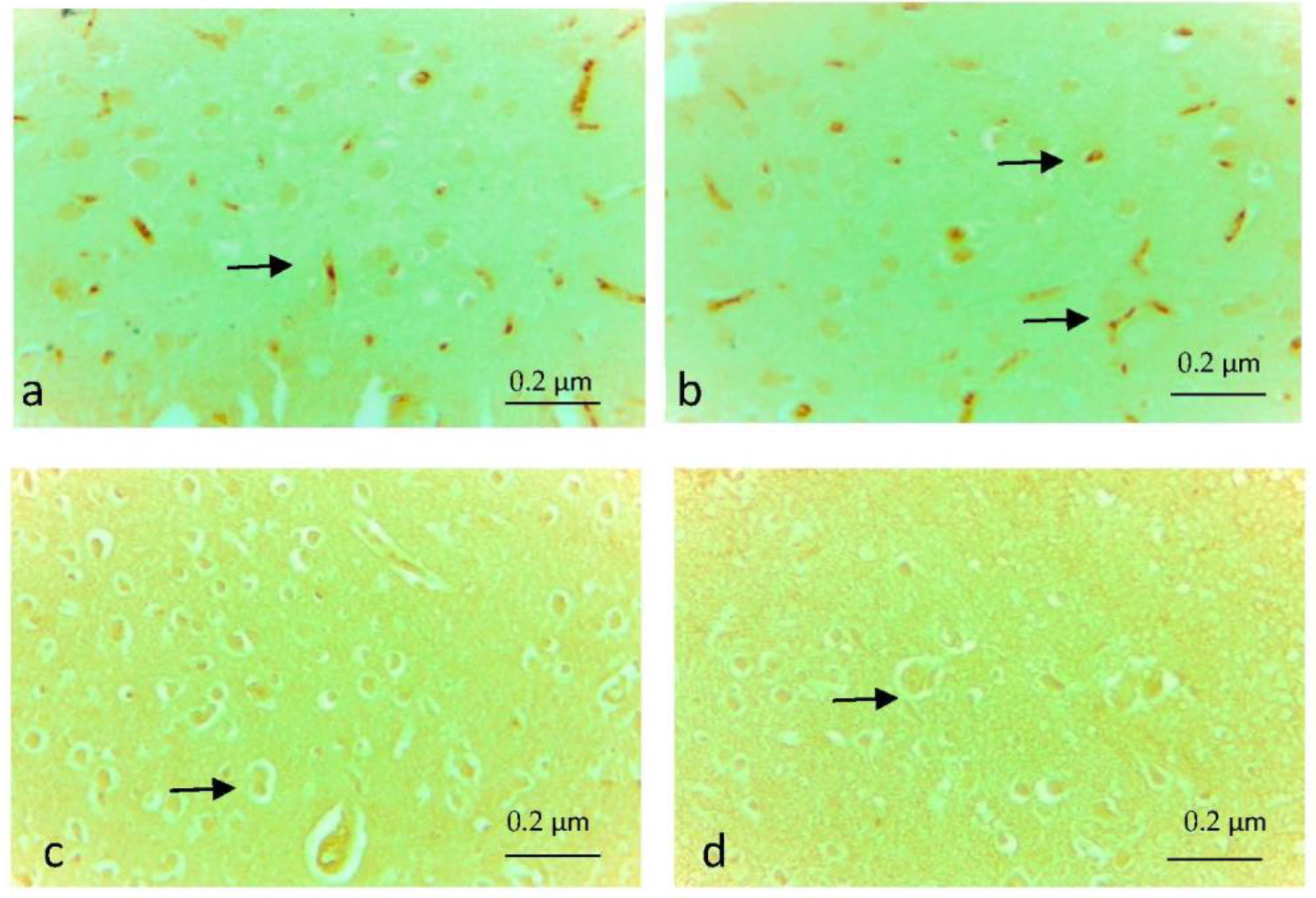 Applsci 13 03276 g003