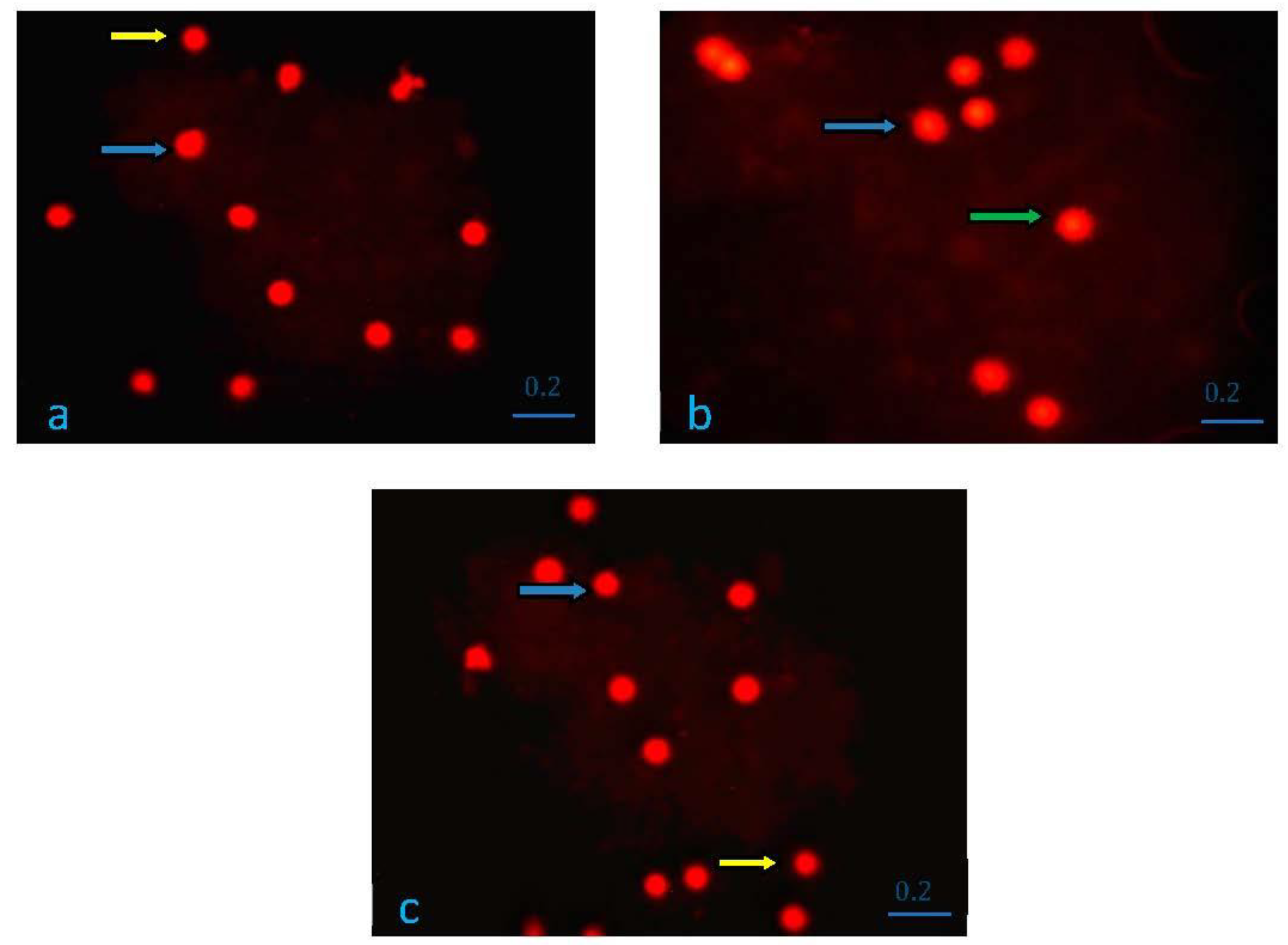 Applsci 13 03276 g004