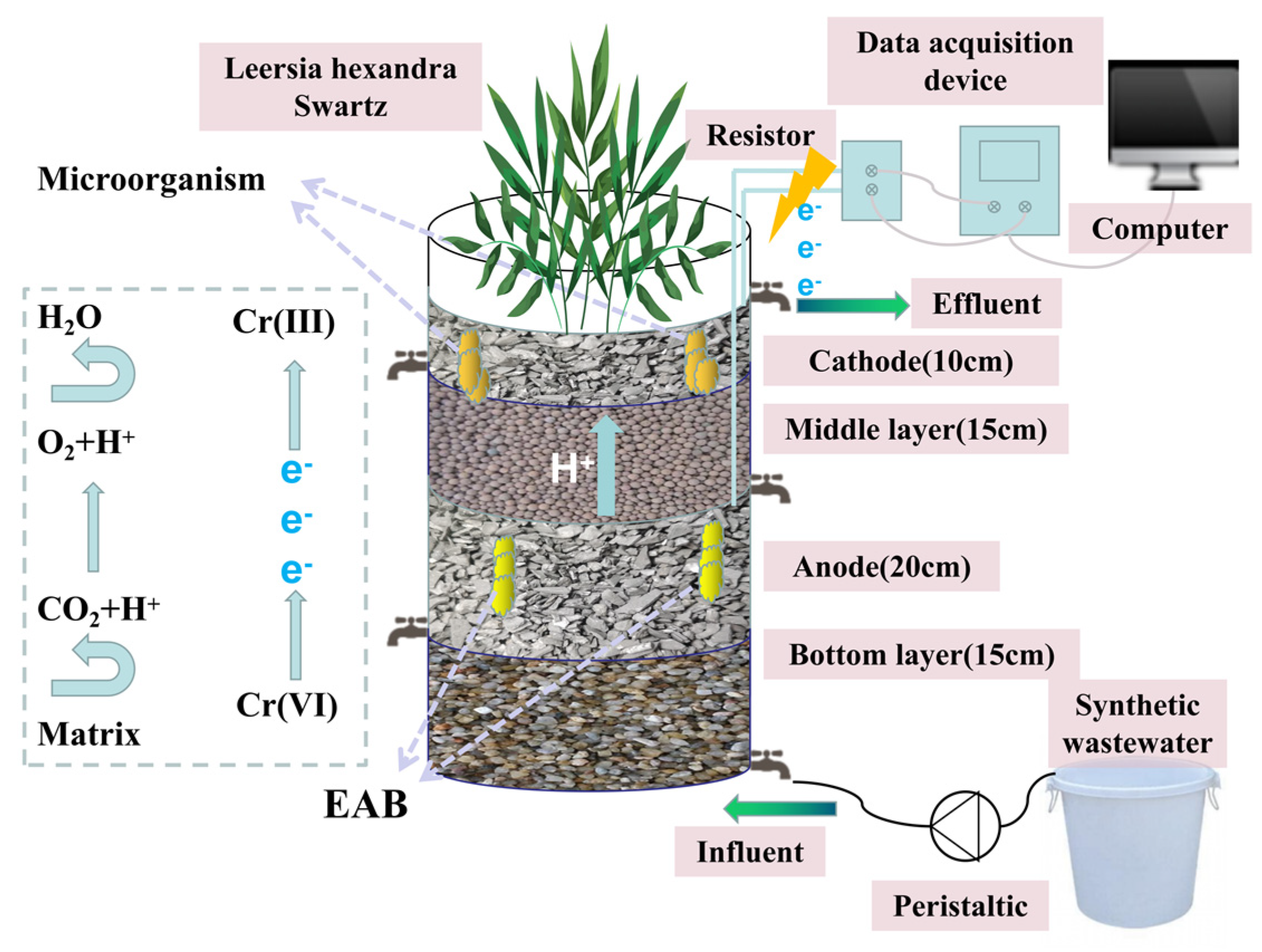 Applsci 13 03309 g001