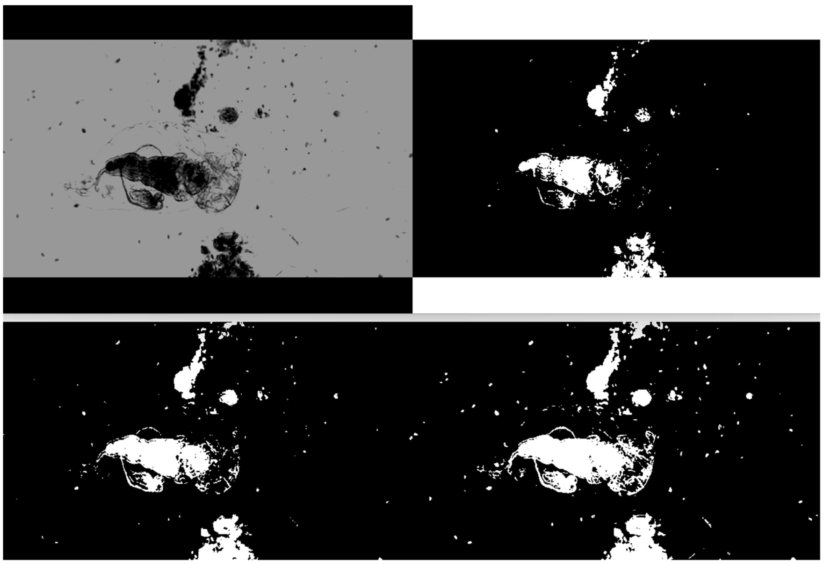 Applsci 13 03338 g005 Applsci 13 03338 g005