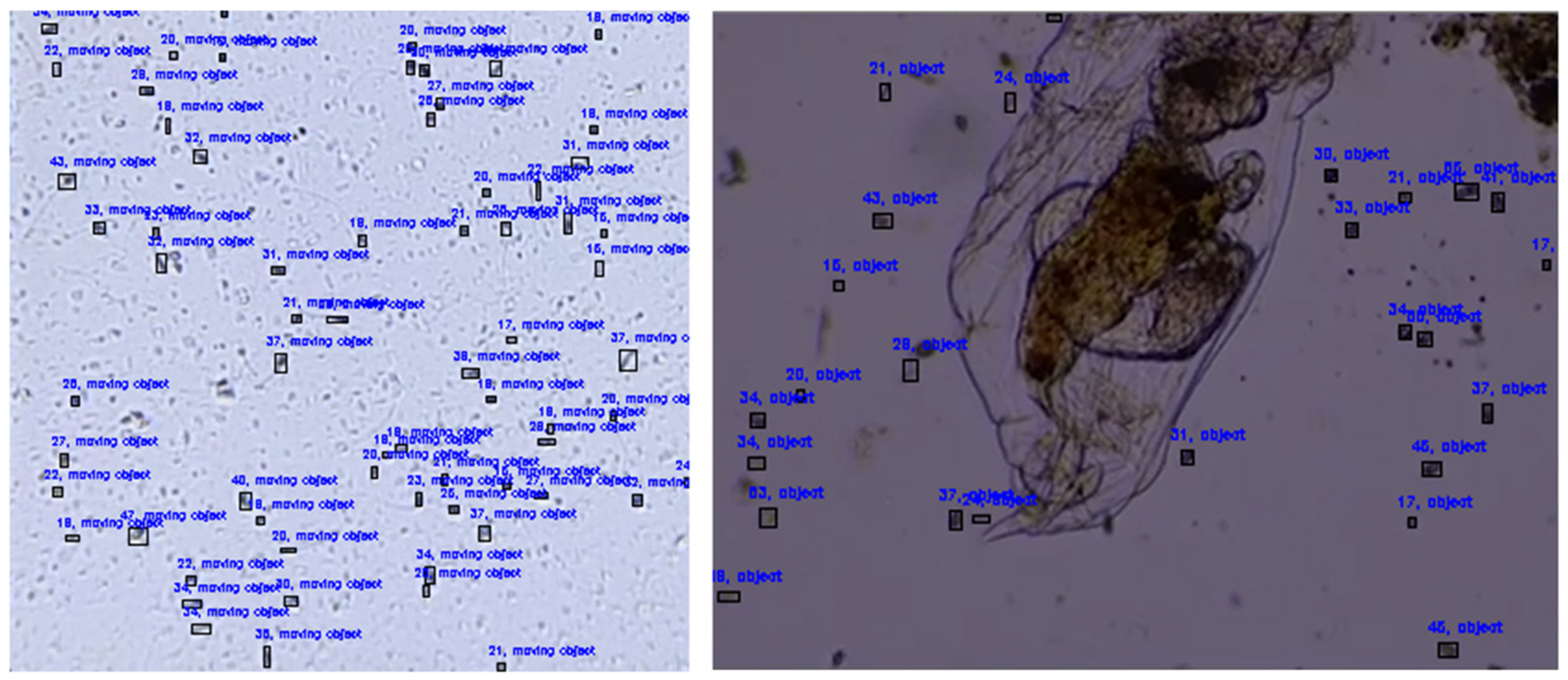 Applsci 13 03338 g006 Applsci 13 03338 g006