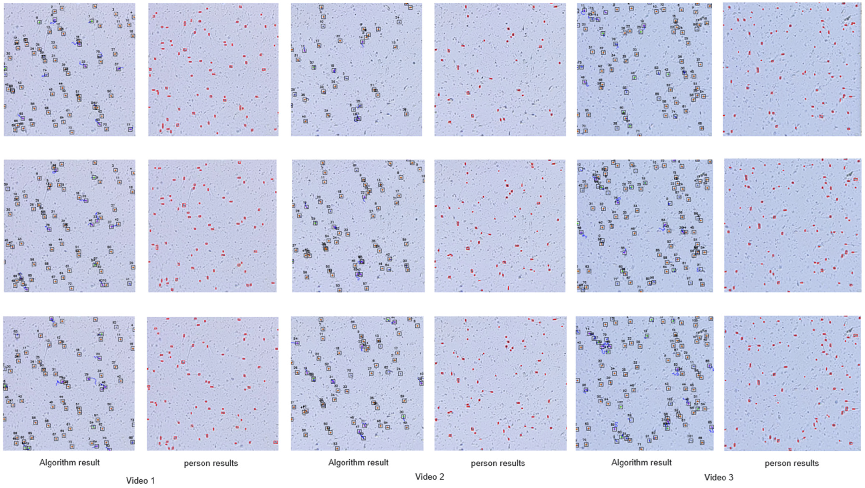 Applsci 13 03338 g009 Applsci 13 03338 g009