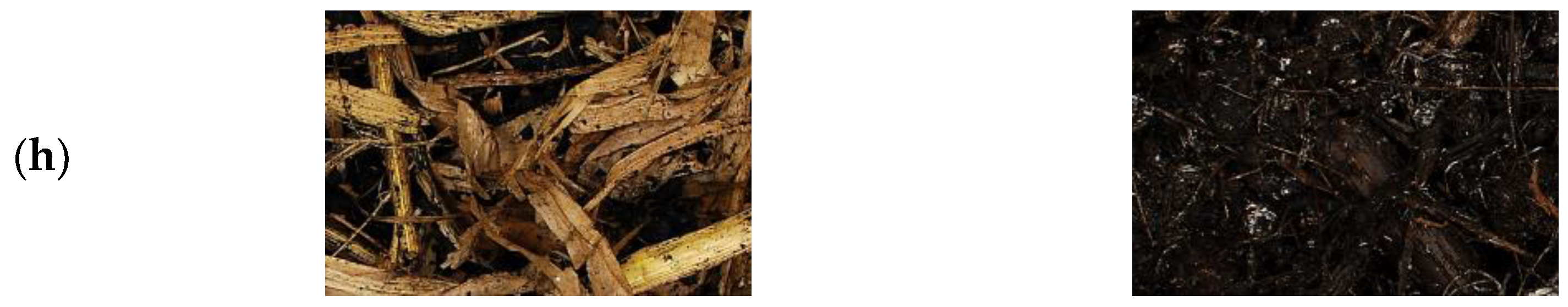 Applsci 13 03363 g002b Applsci 13 03363 g002b