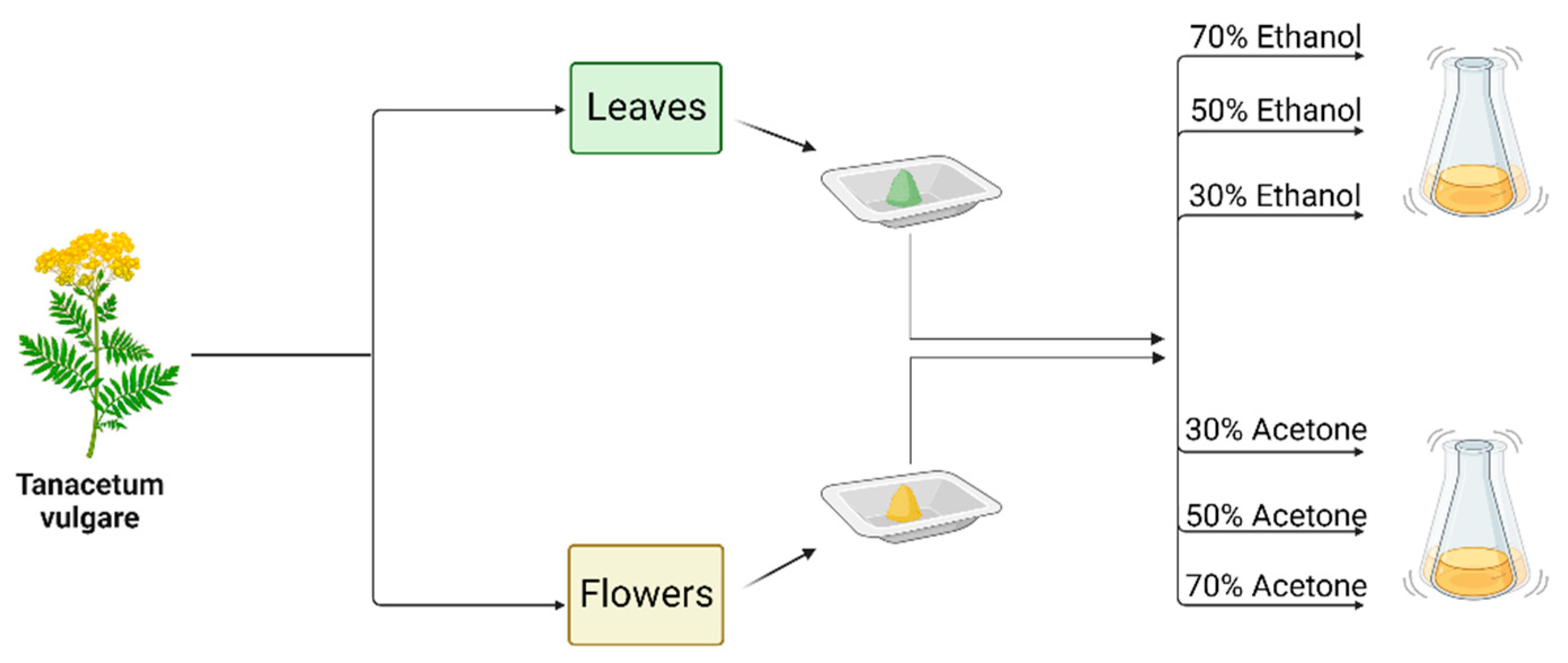 Applsci 13 03369 g001