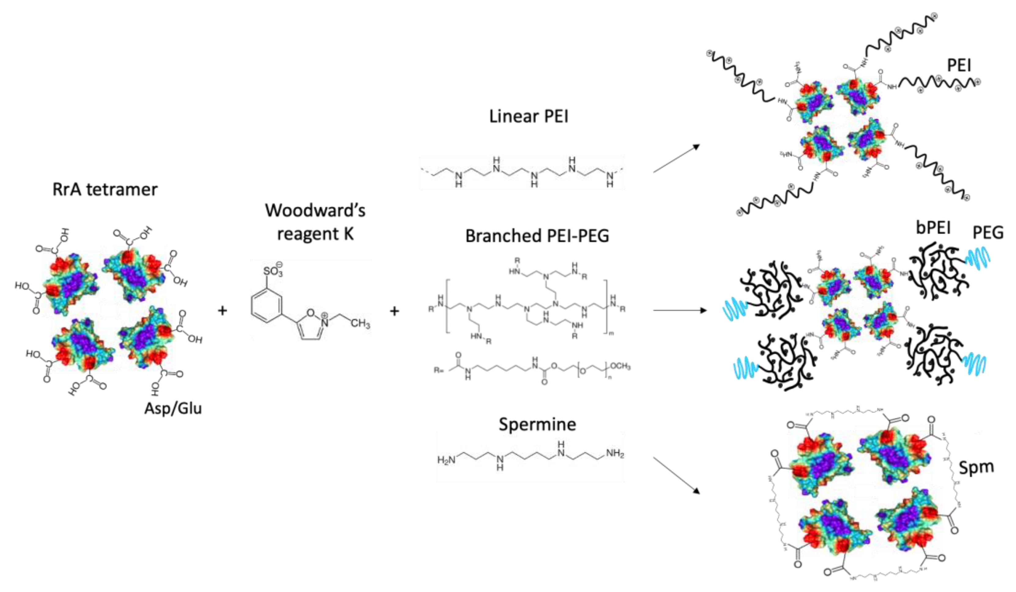 Applsci 13 03373 g001 Applsci 13 03373 g001