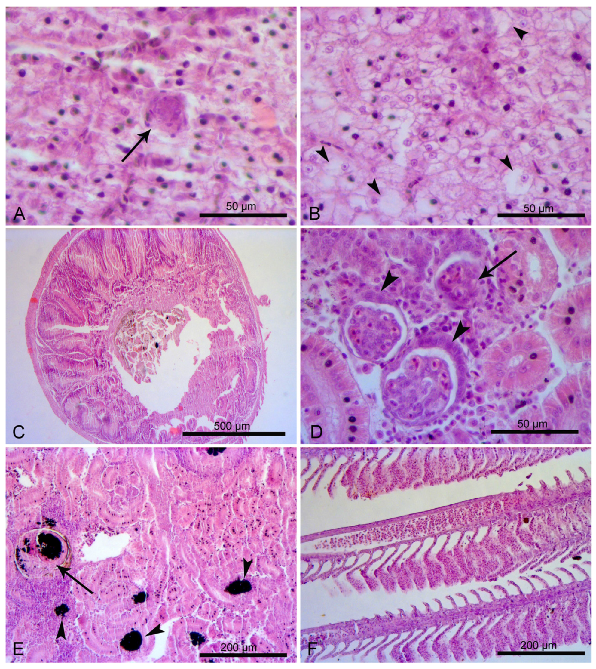Applsci 13 03385 g001 Applsci 13 03385 g001