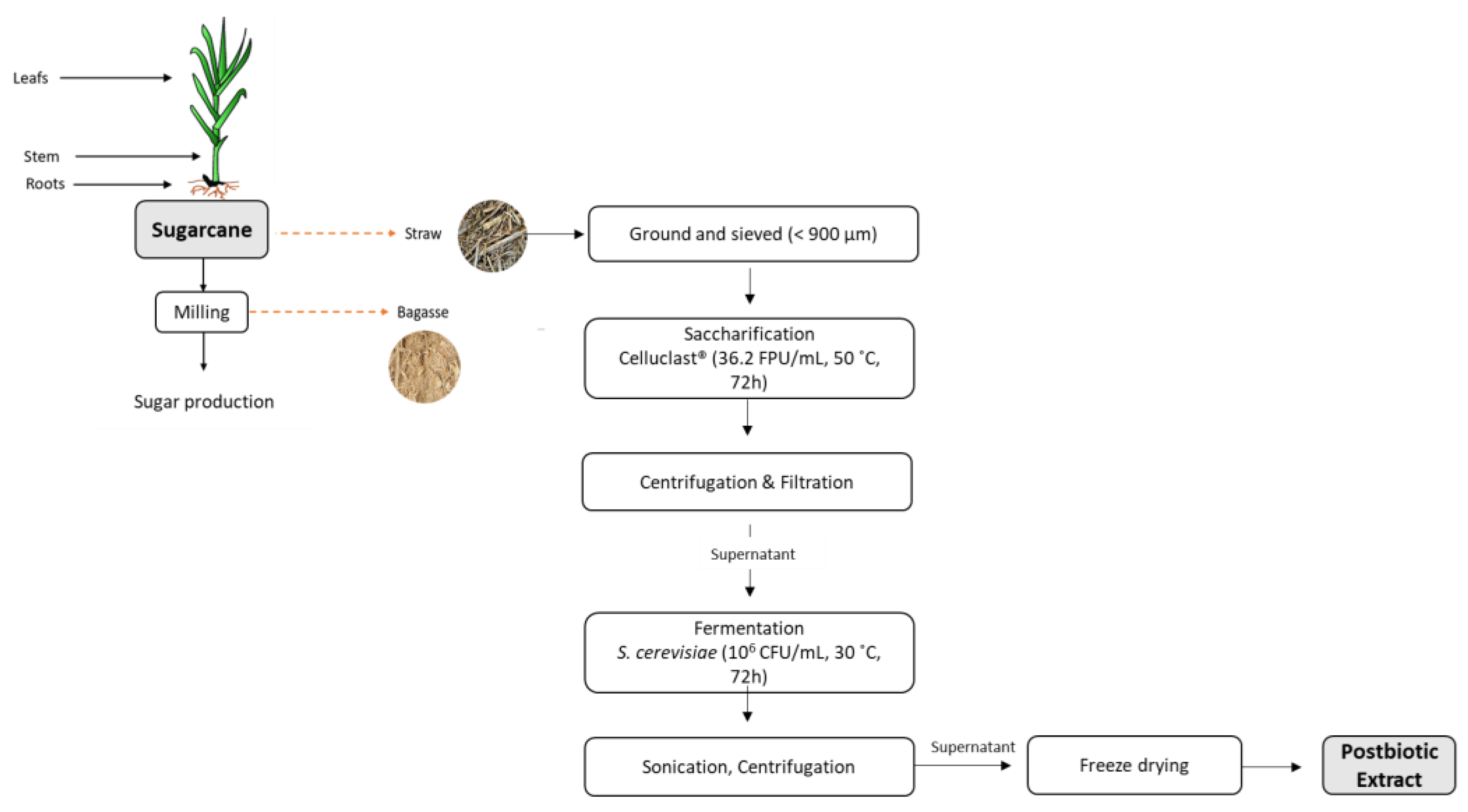 Applsci 13 03391 g001 Applsci 13 03391 g001