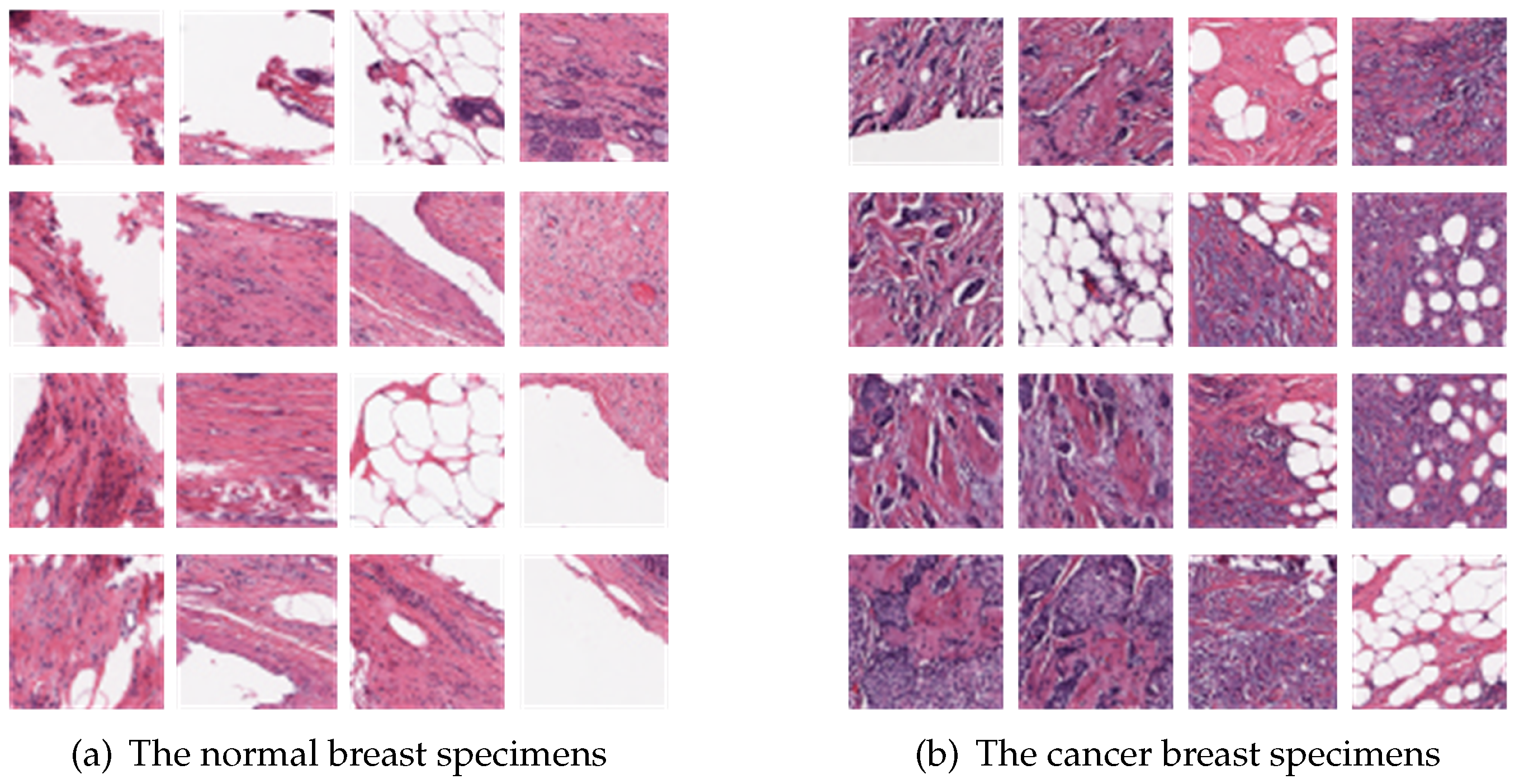 Applsci 13 03439 g003