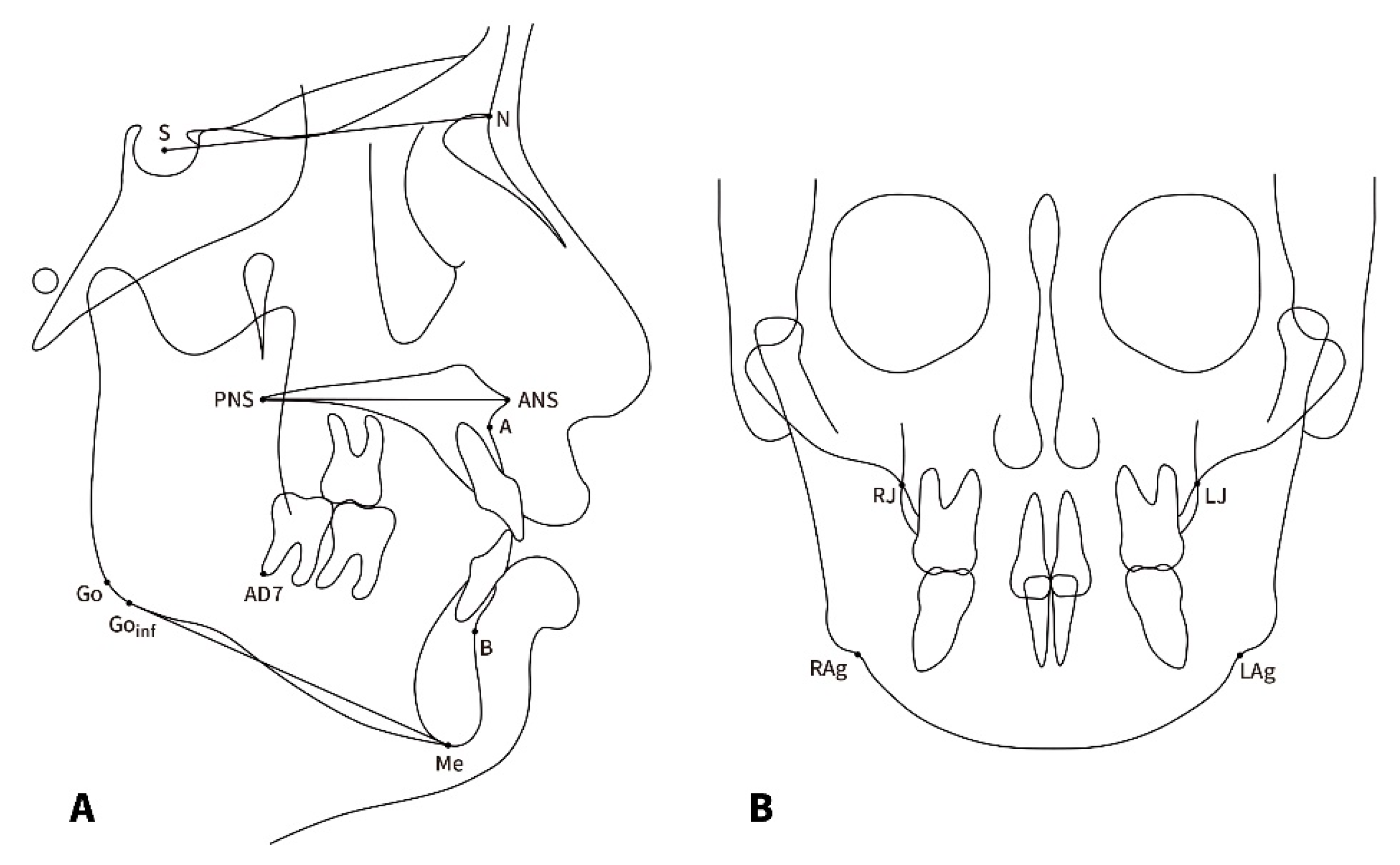 Applsci 13 03444 g002
