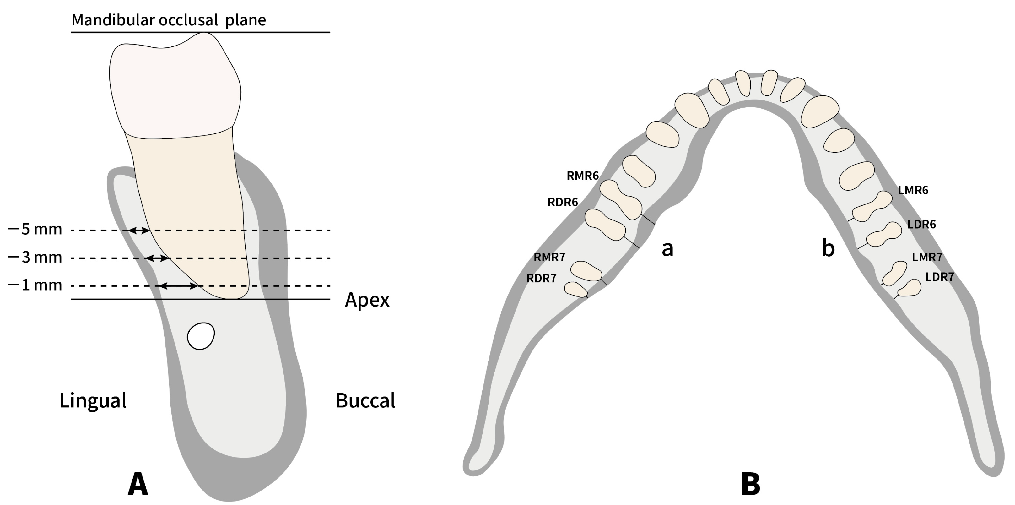 Applsci 13 03444 g003