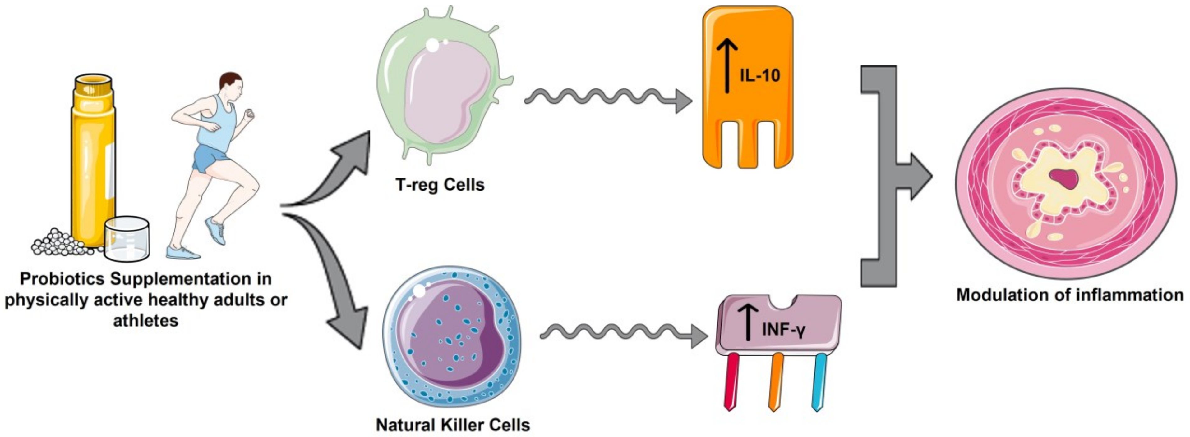 Applsci 13 03448 g002