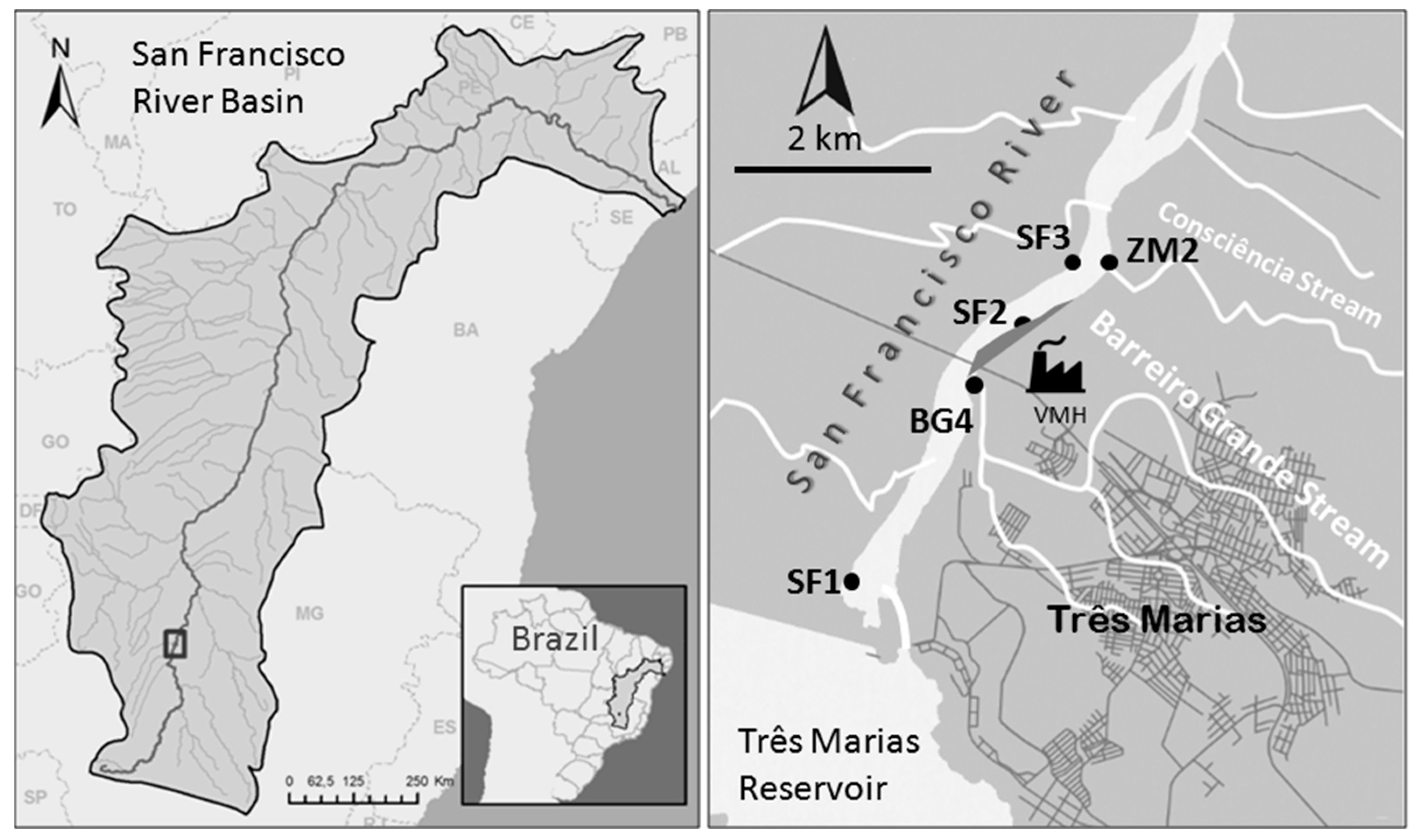 Applsci 13 03465 g001