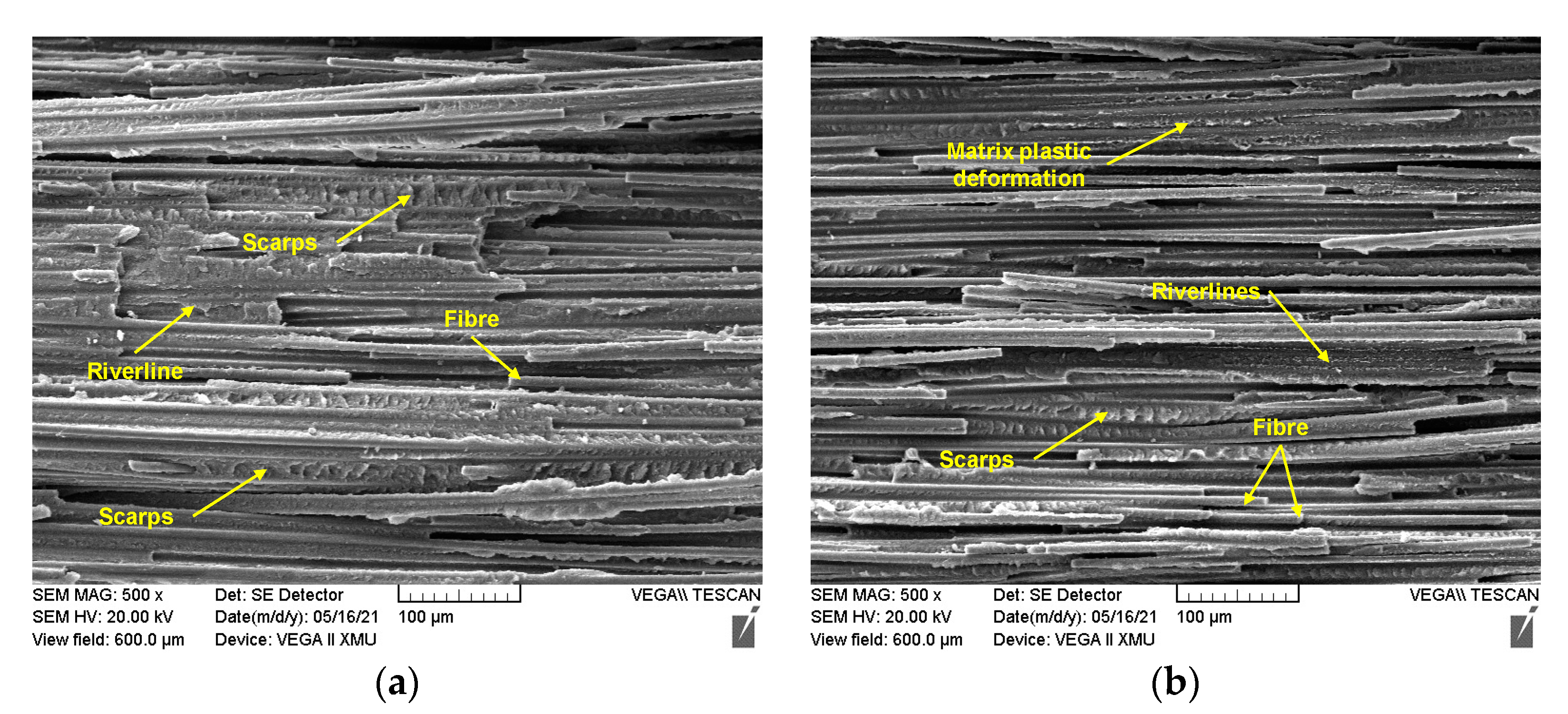 Applsci 13 03476 g013
