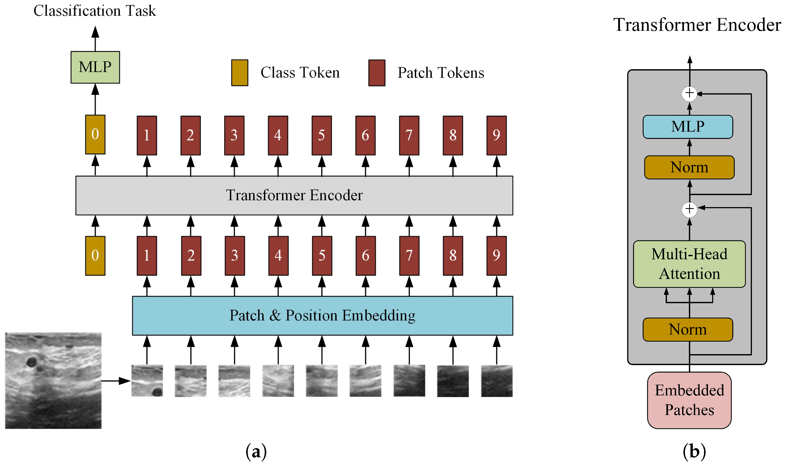 Applsci 13 03489 g001