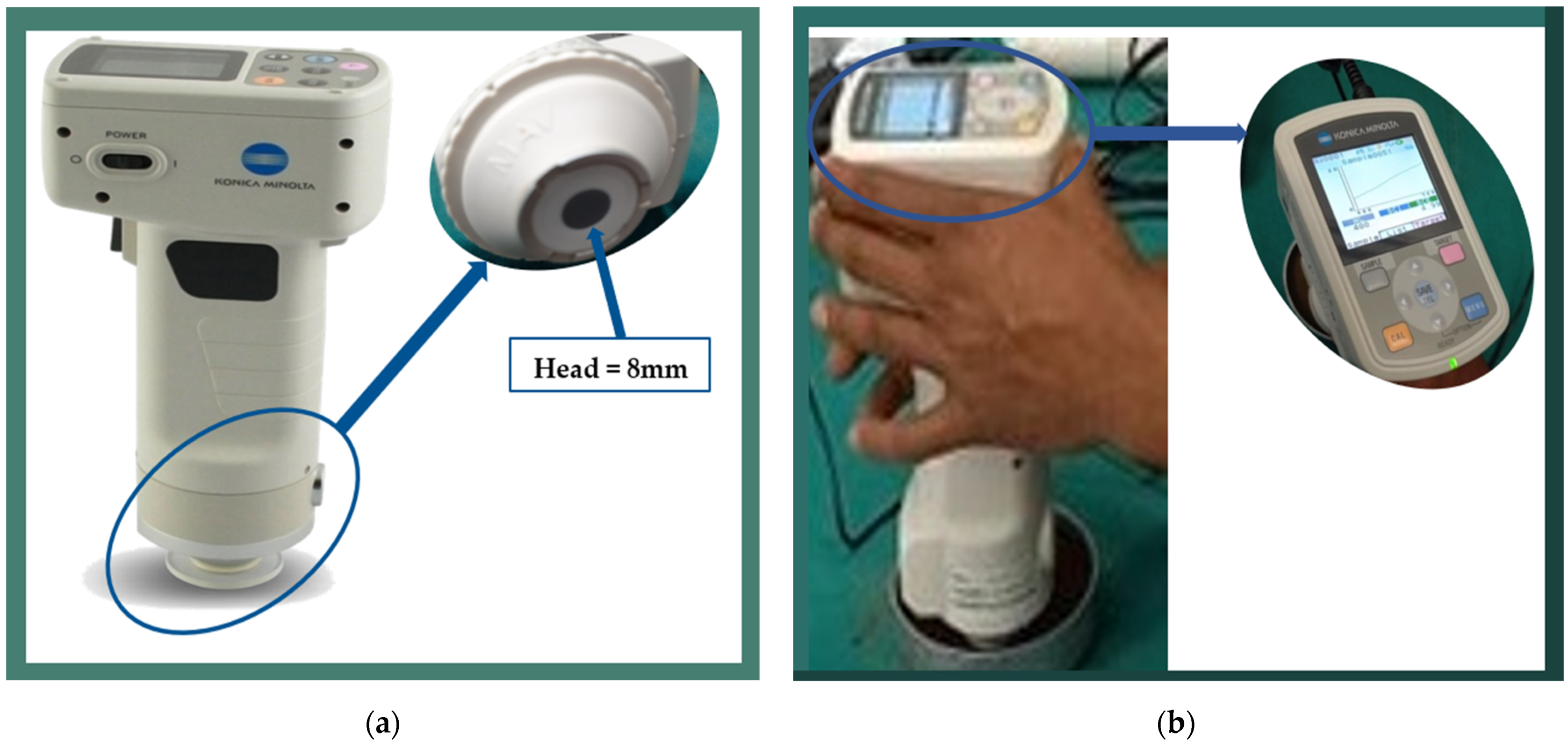 Applsci 13 03498 g003