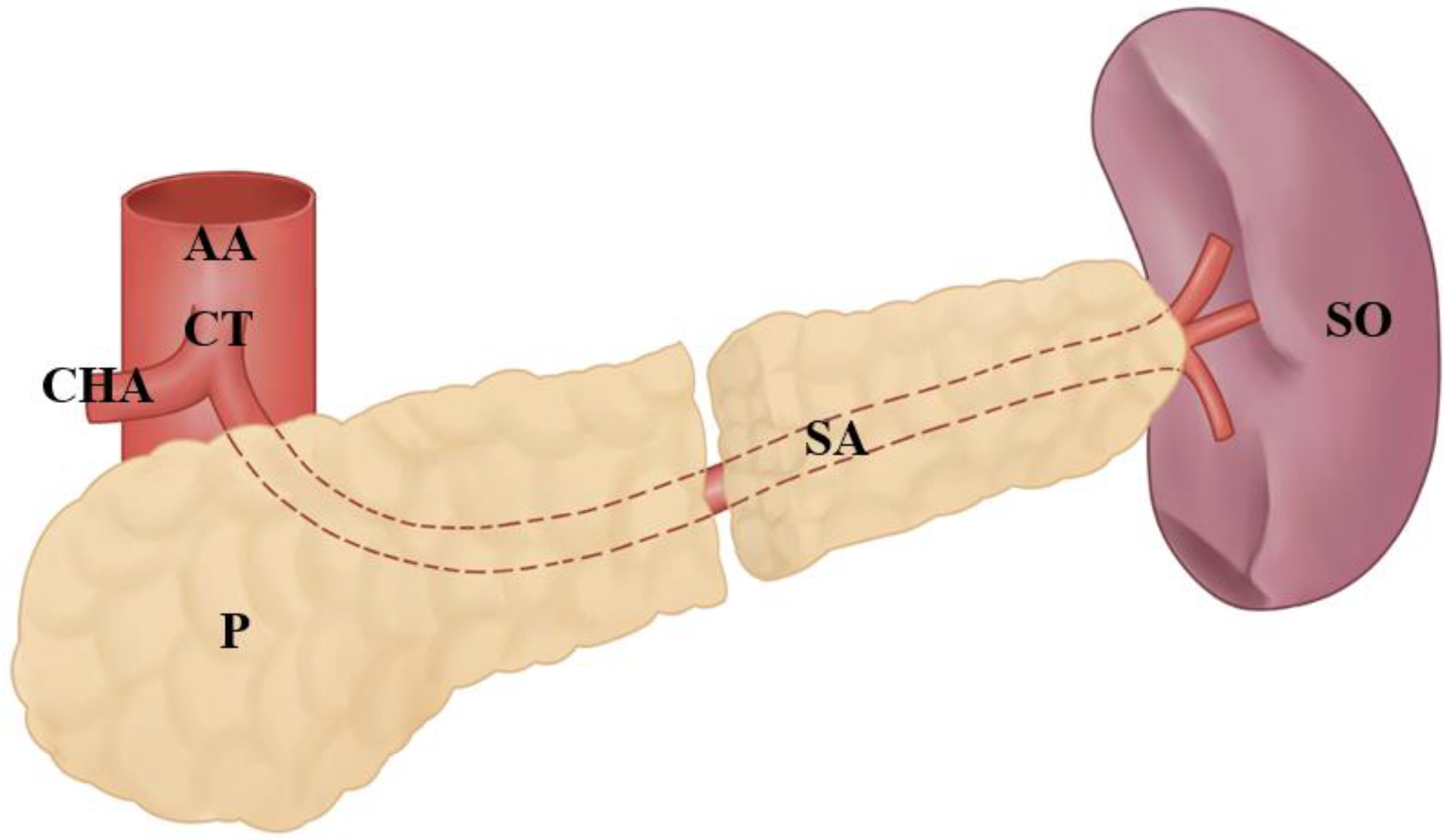Applsci 13 03510 g004