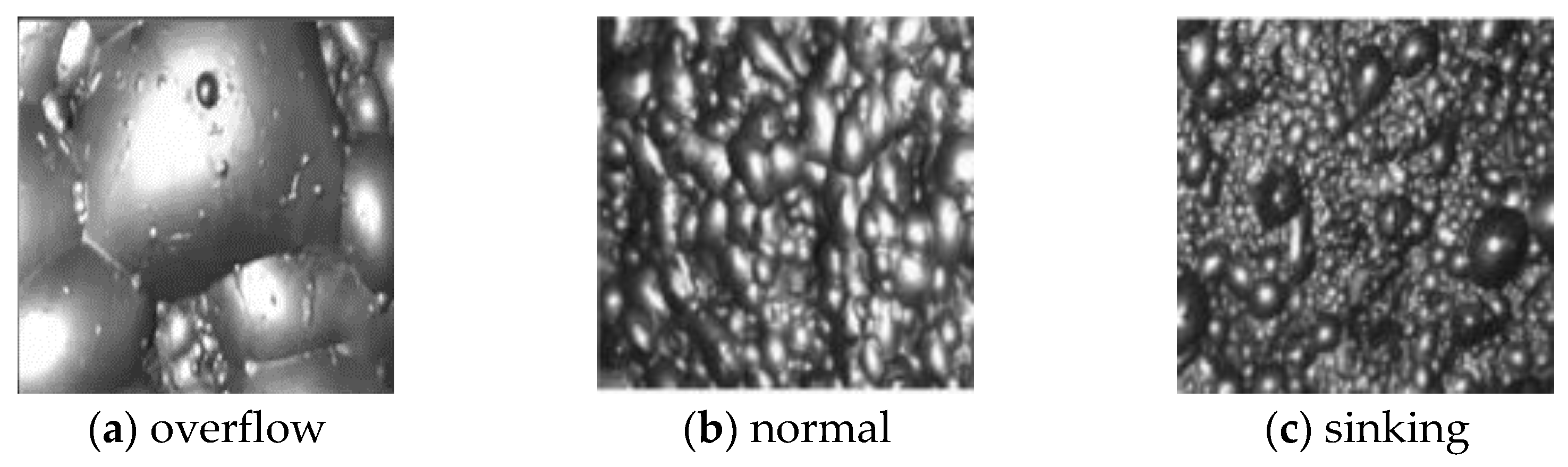 Applsci 13 03512 g001