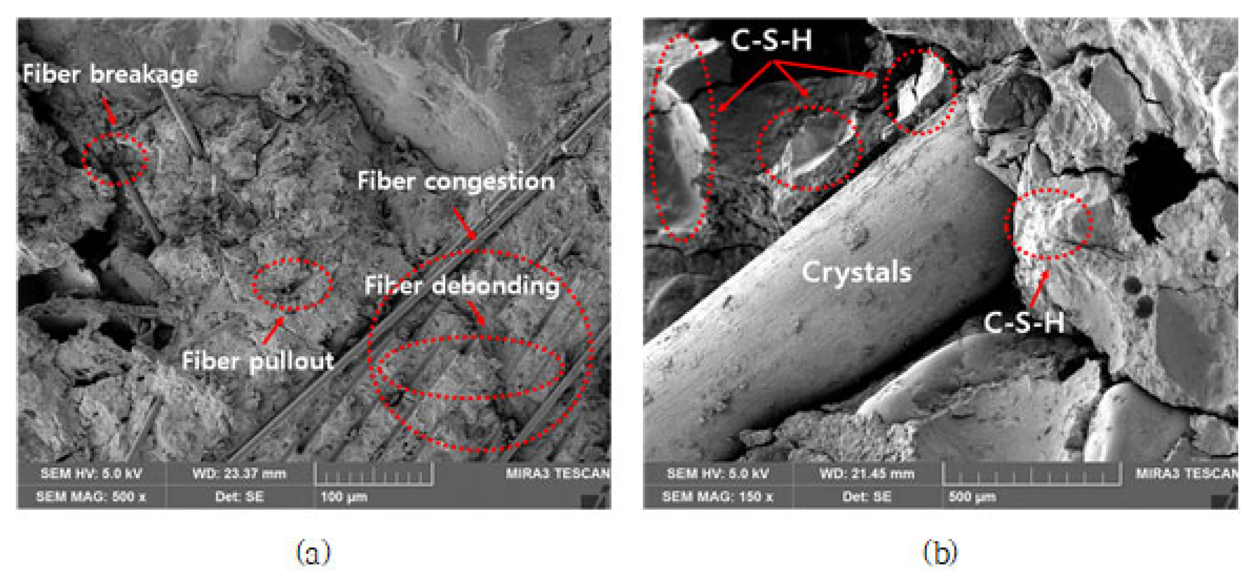 Applsci 13 03522 g013