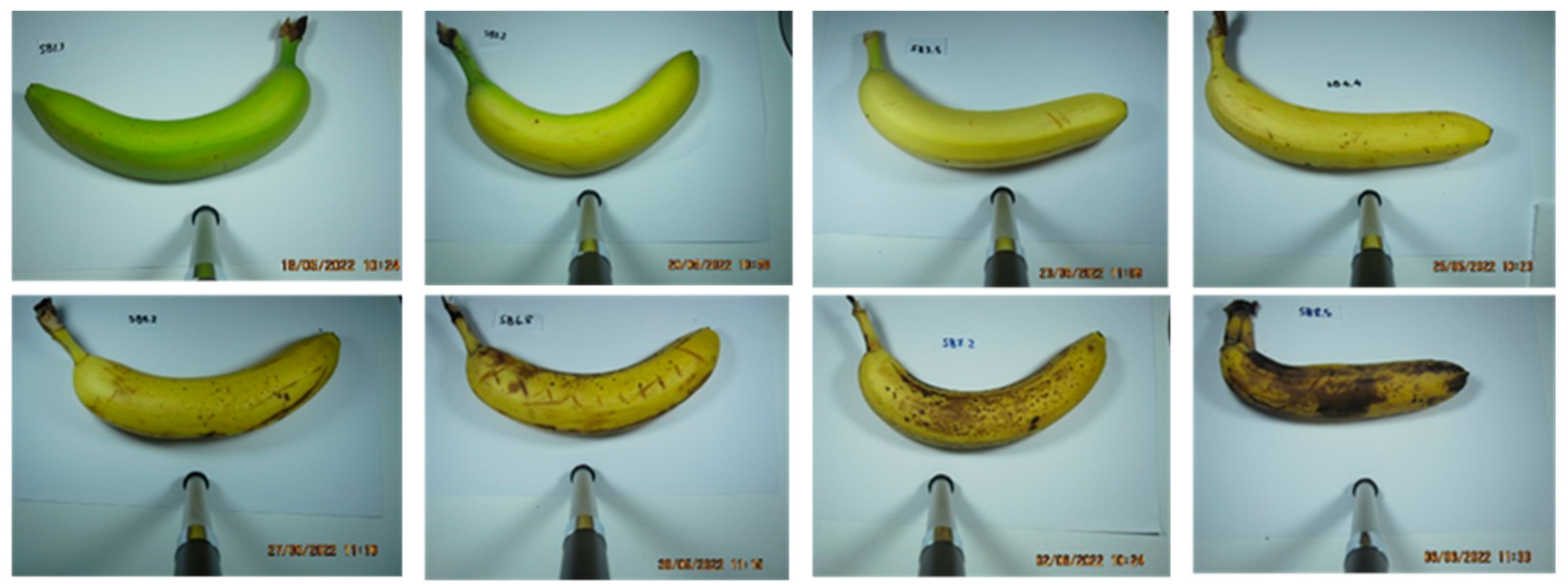 Applsci 13 03533 g001 Applsci 13 03533 g001