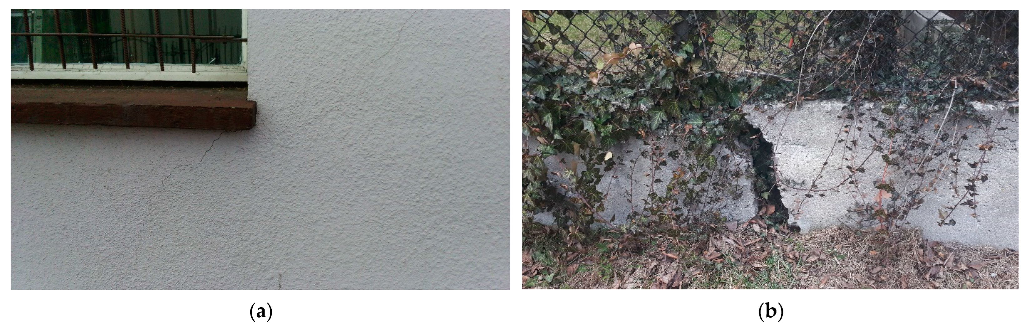 Applsci 13 03549 g005