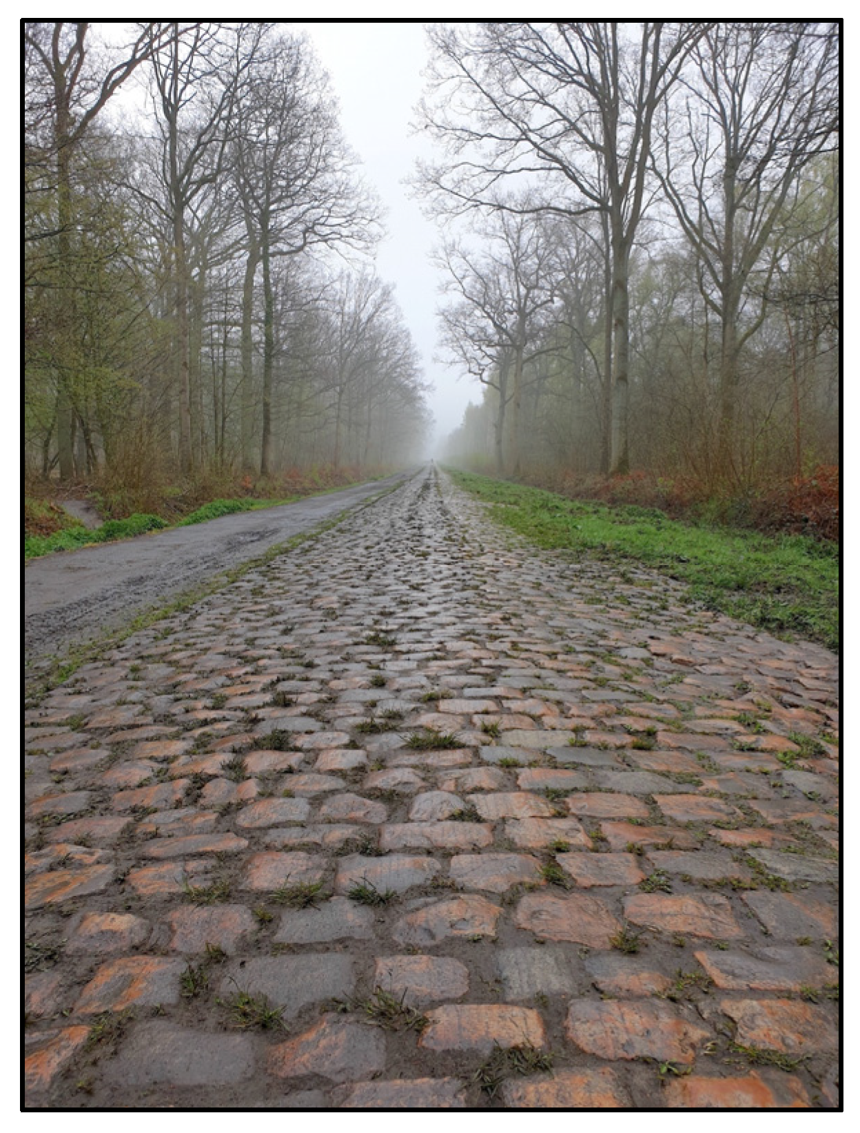 Applsci 13 03552 g034