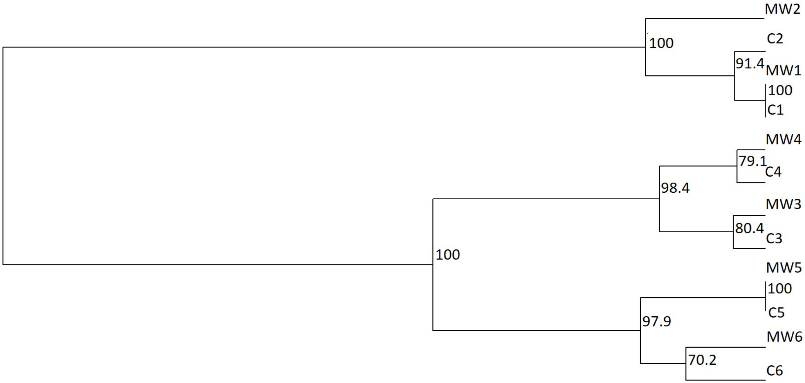 Applsci 13 03553 g007