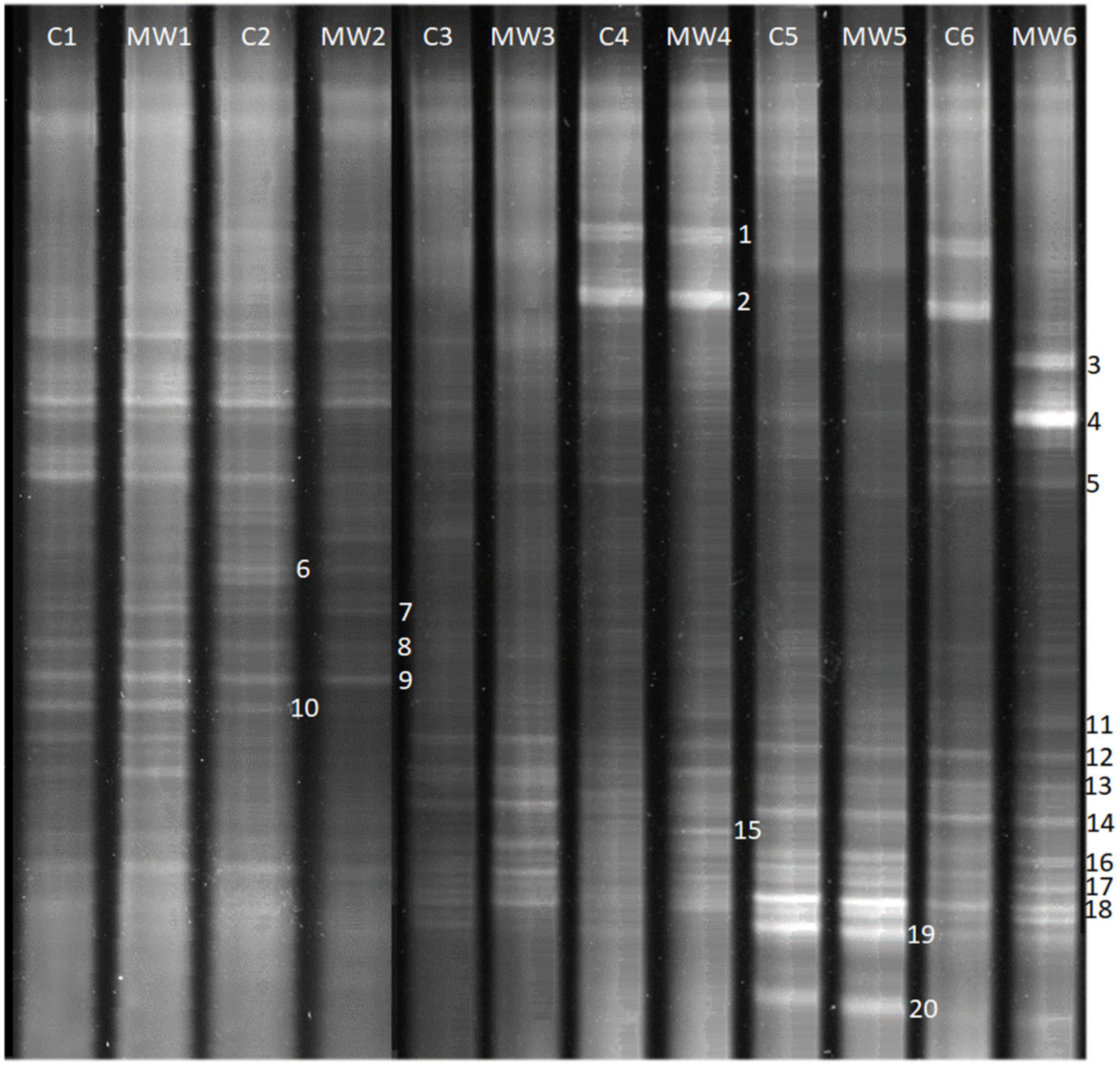 Applsci 13 03553 g008