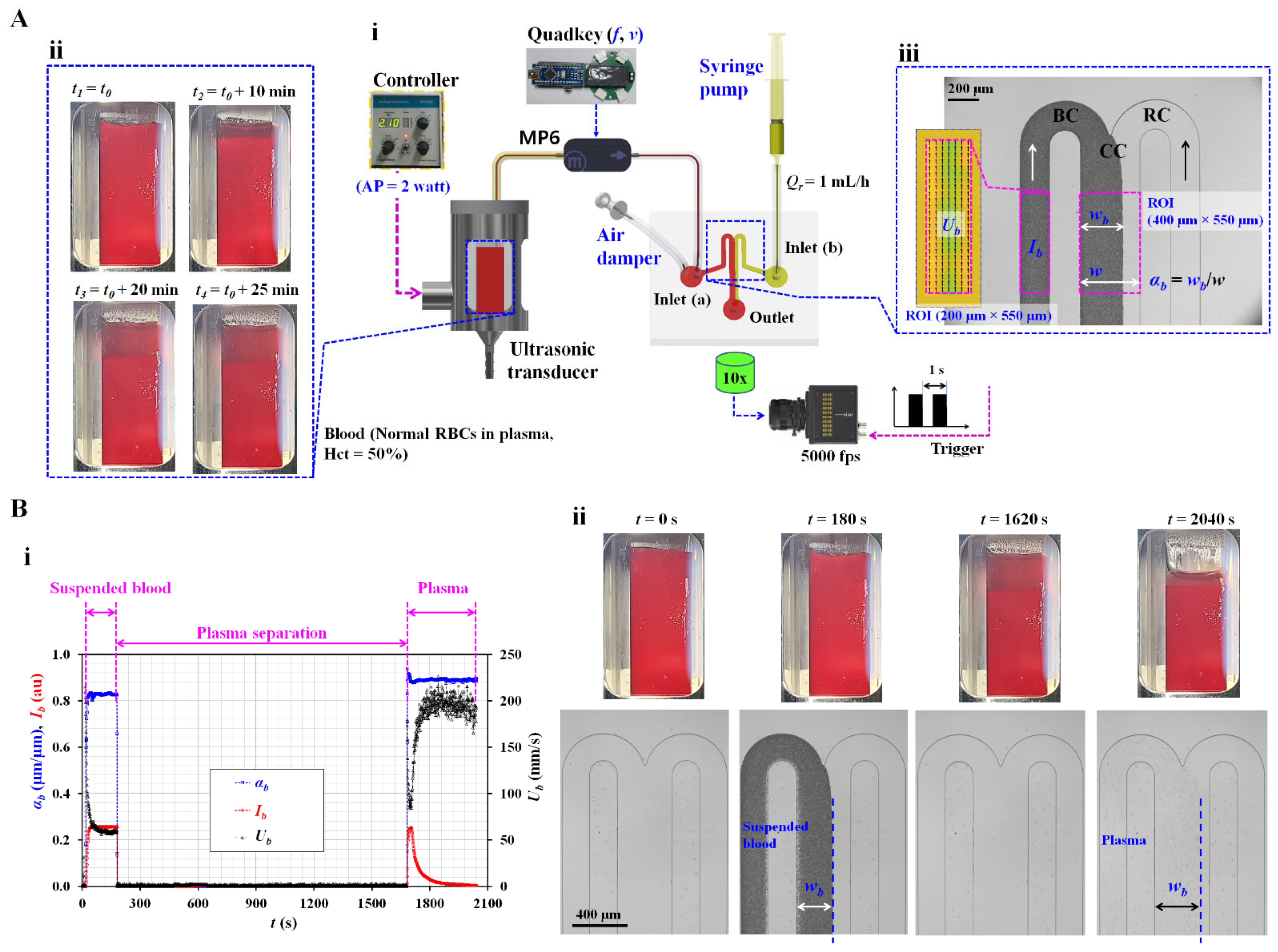 Applsci 13 03574 g001