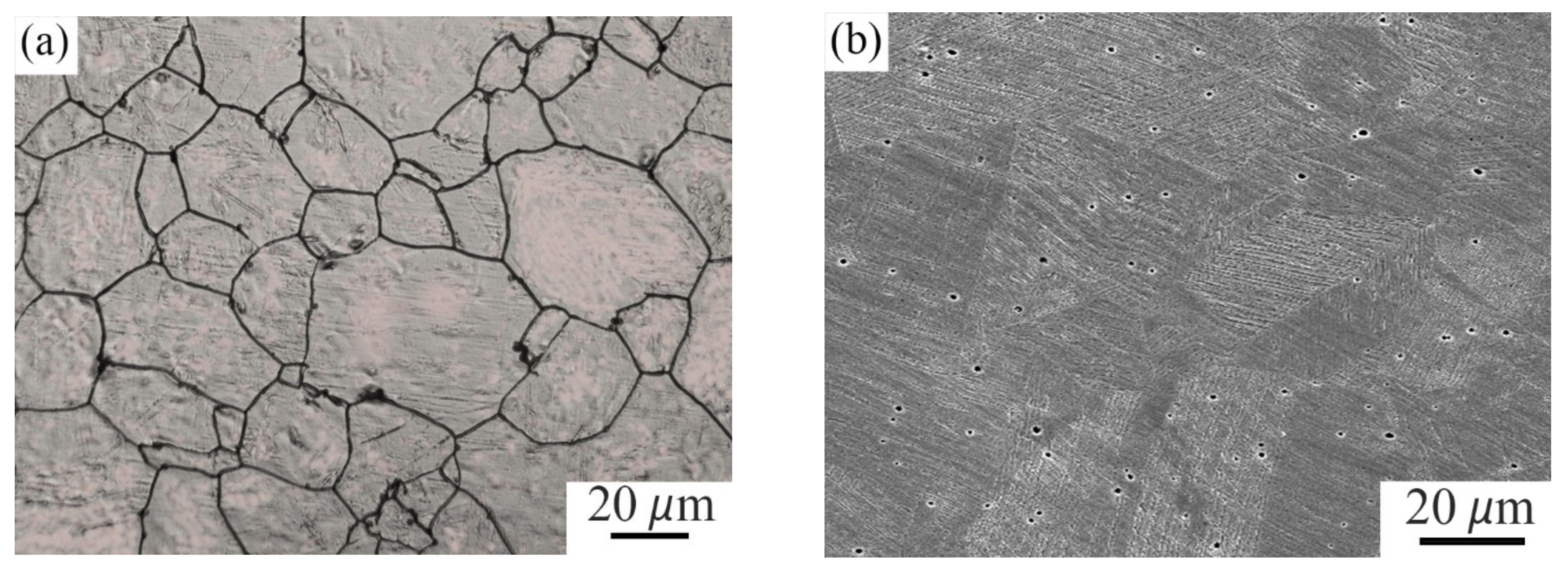 Applsci 13 03584 g003