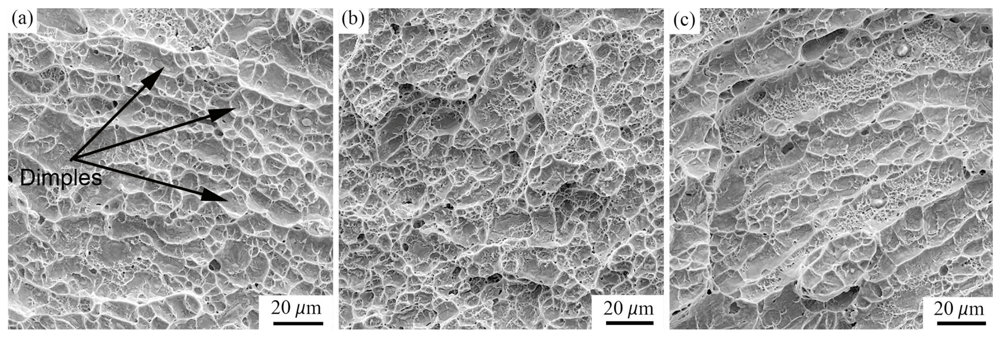 Applsci 13 03584 g017