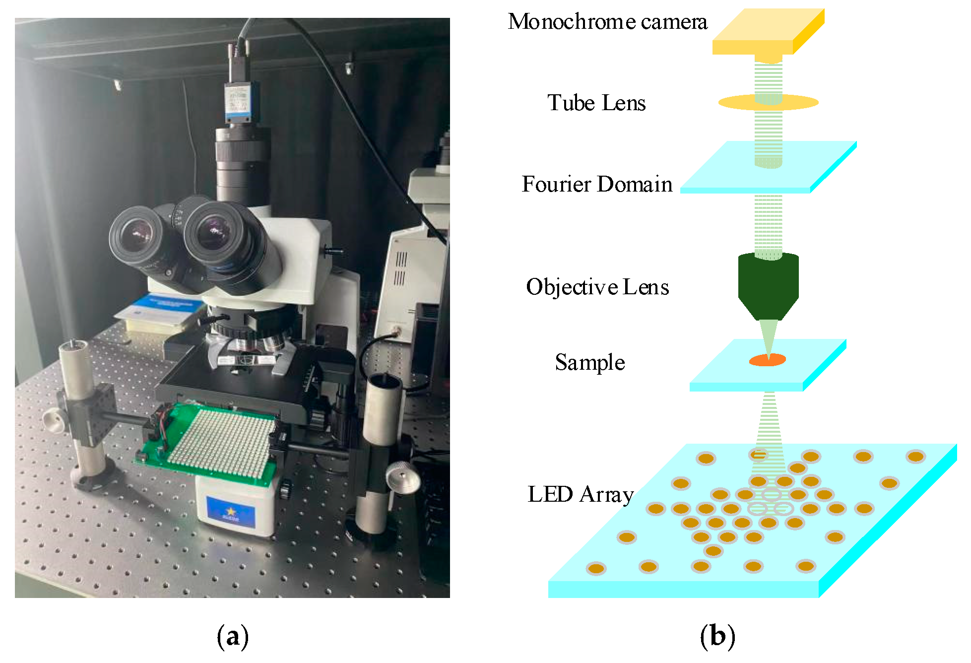 Applsci 13 03590 g001