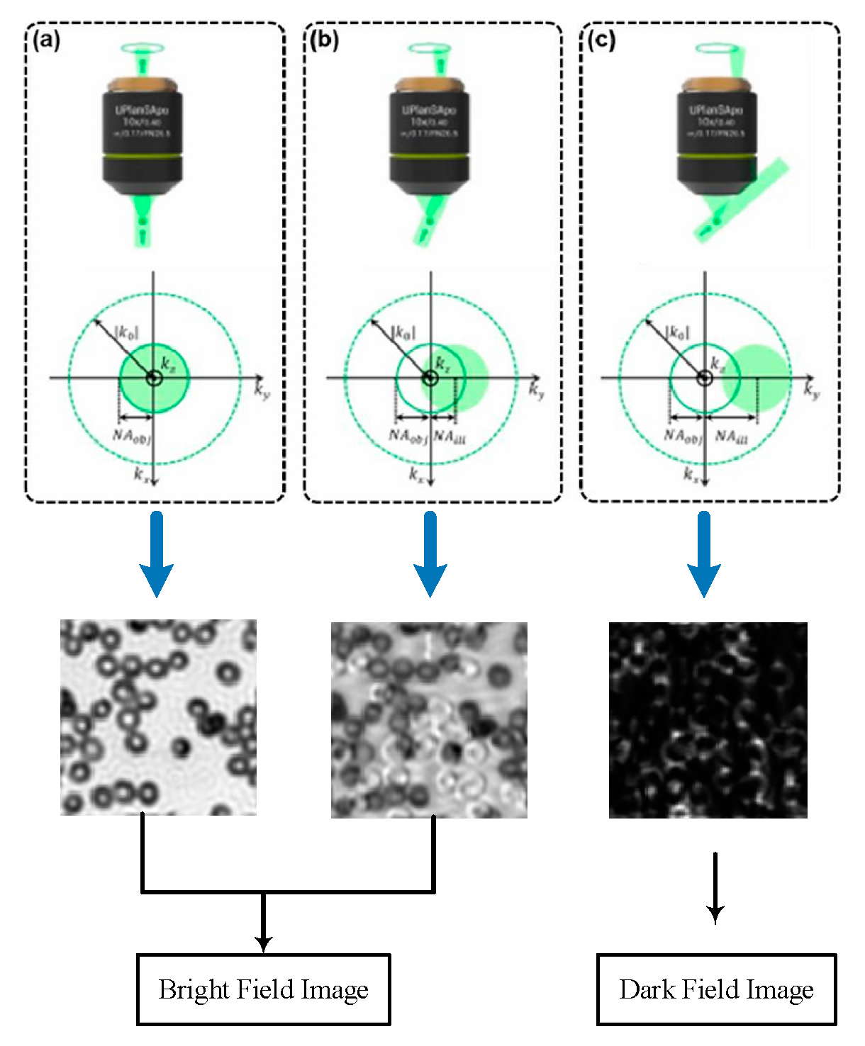Applsci 13 03590 g003