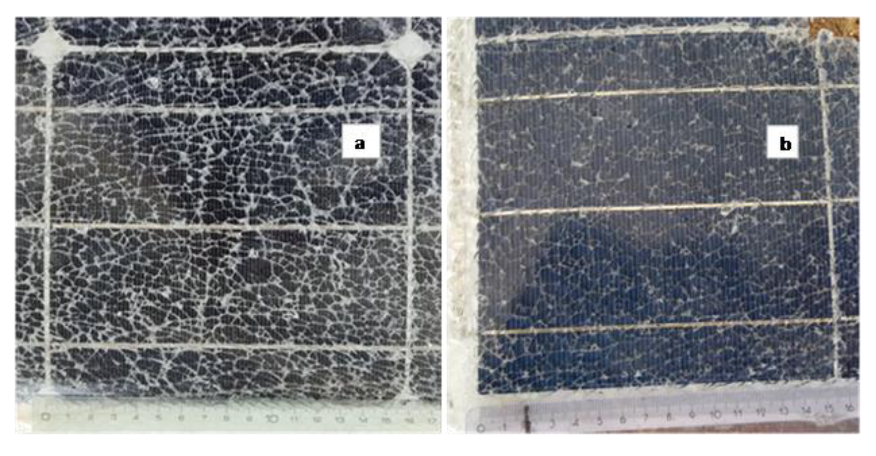 Applsci 13 03602 g001