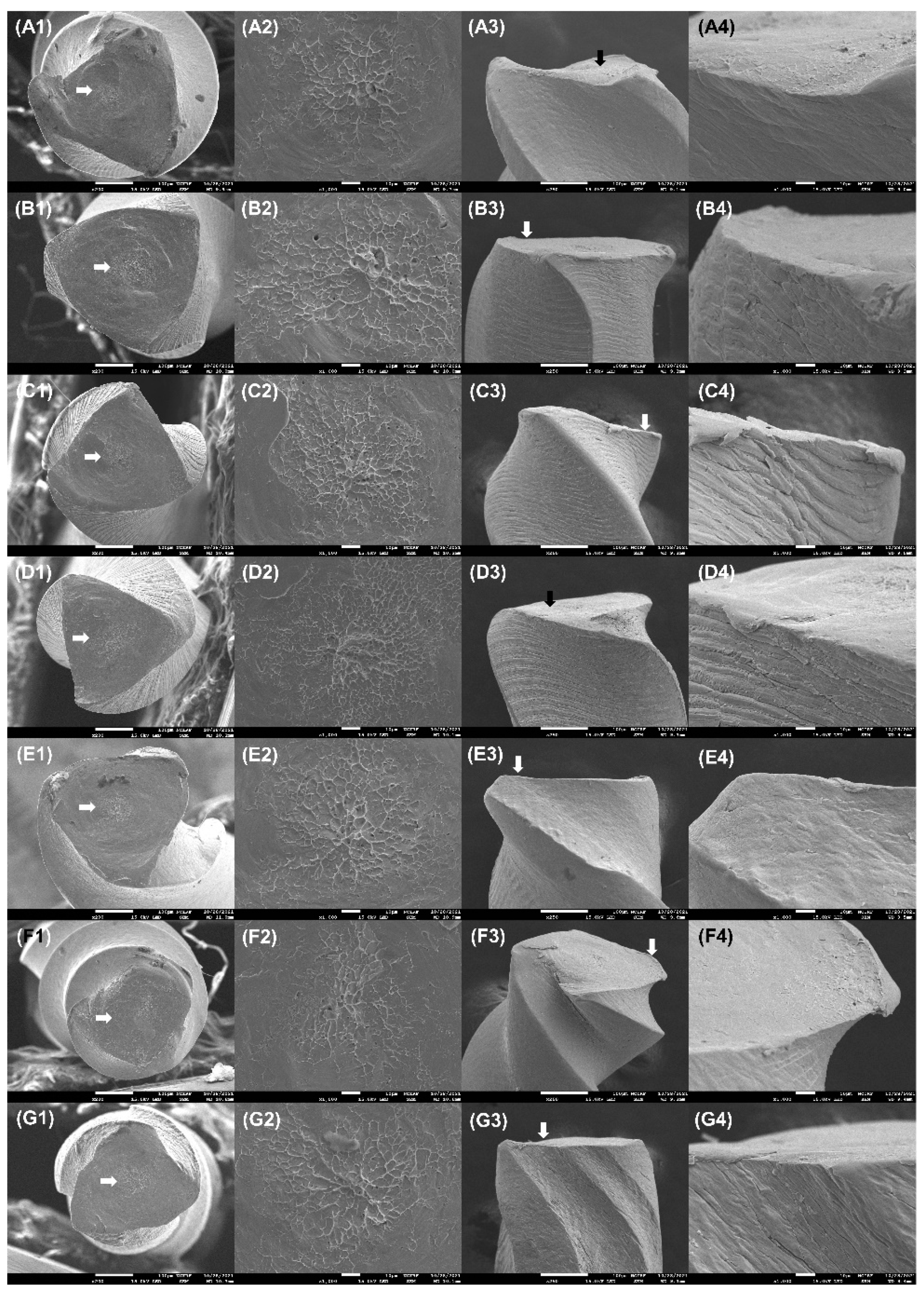 Applsci 13 03604 g005