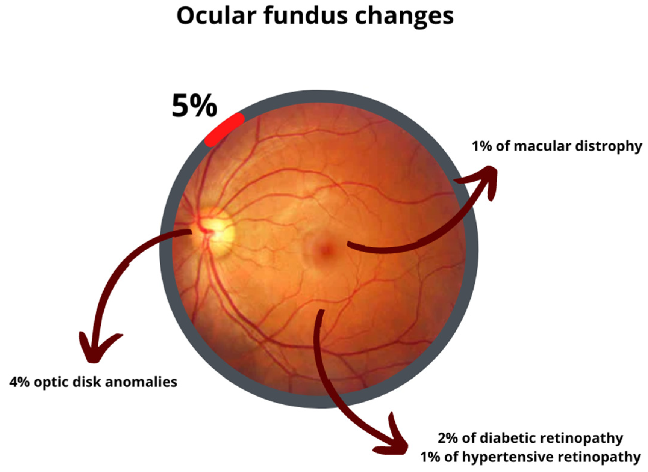 Applsci 13 03618 g004