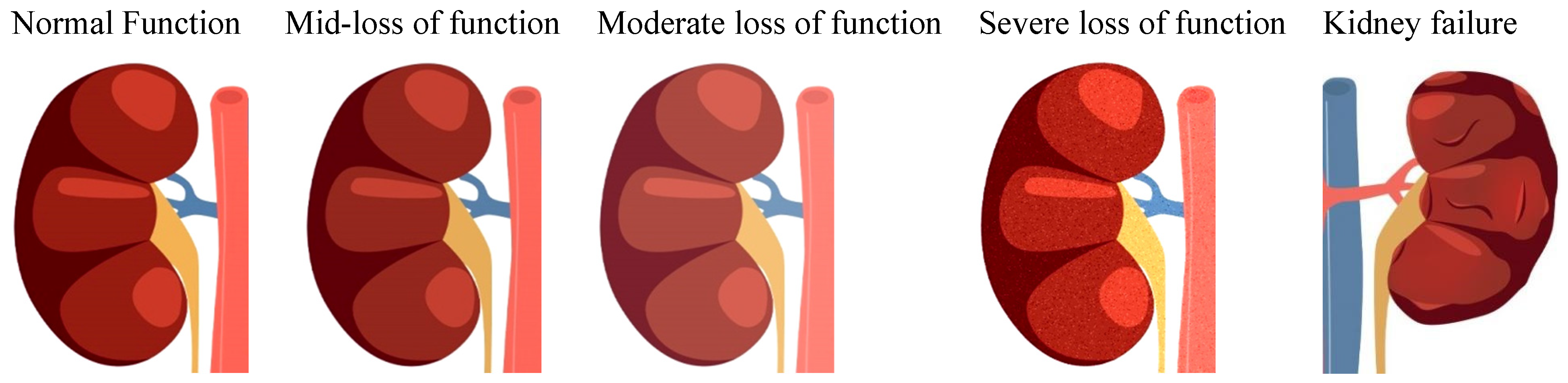 Applsci 13 03621 g002