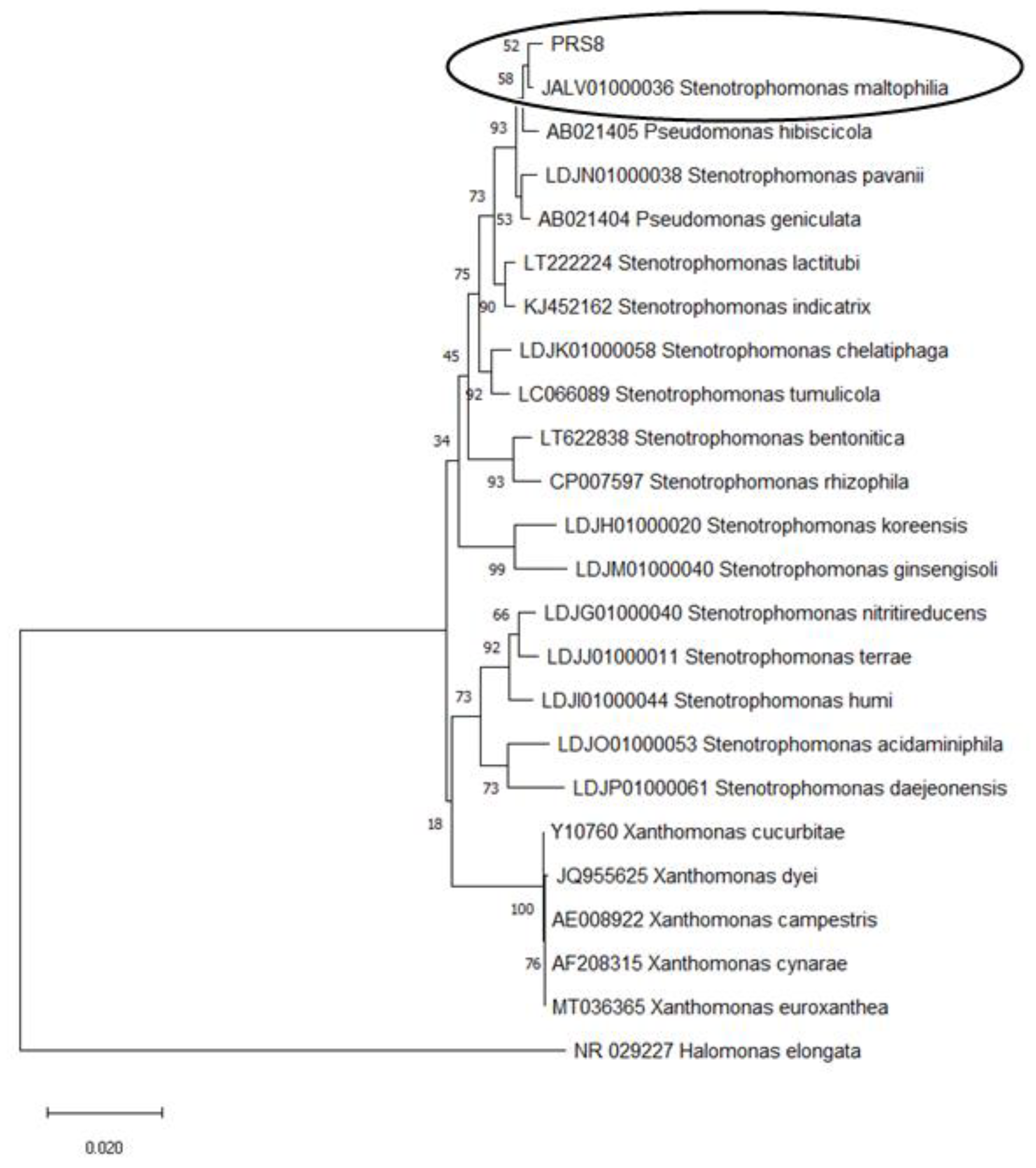 Applsci 13 03686 g001