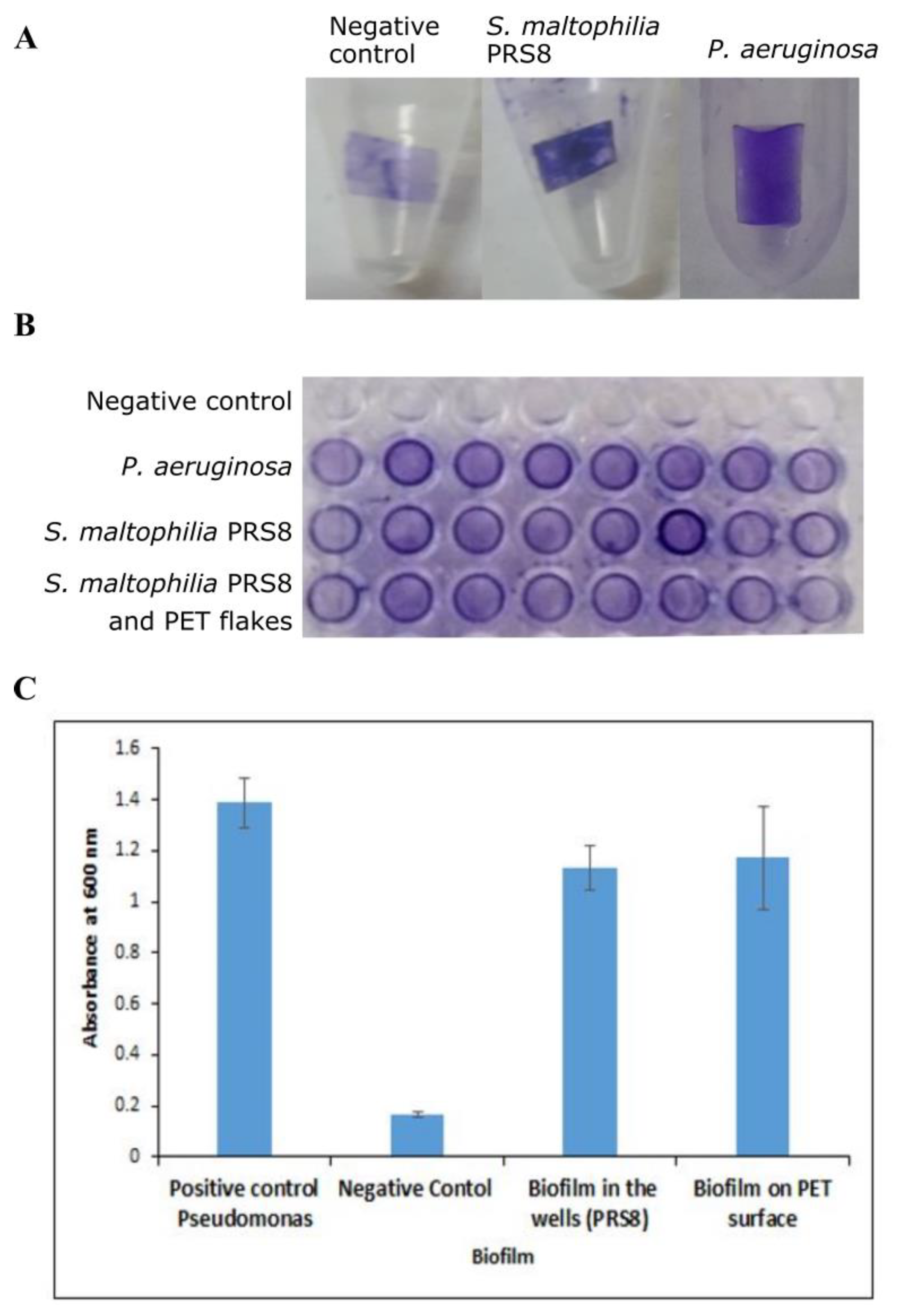Applsci 13 03686 g002