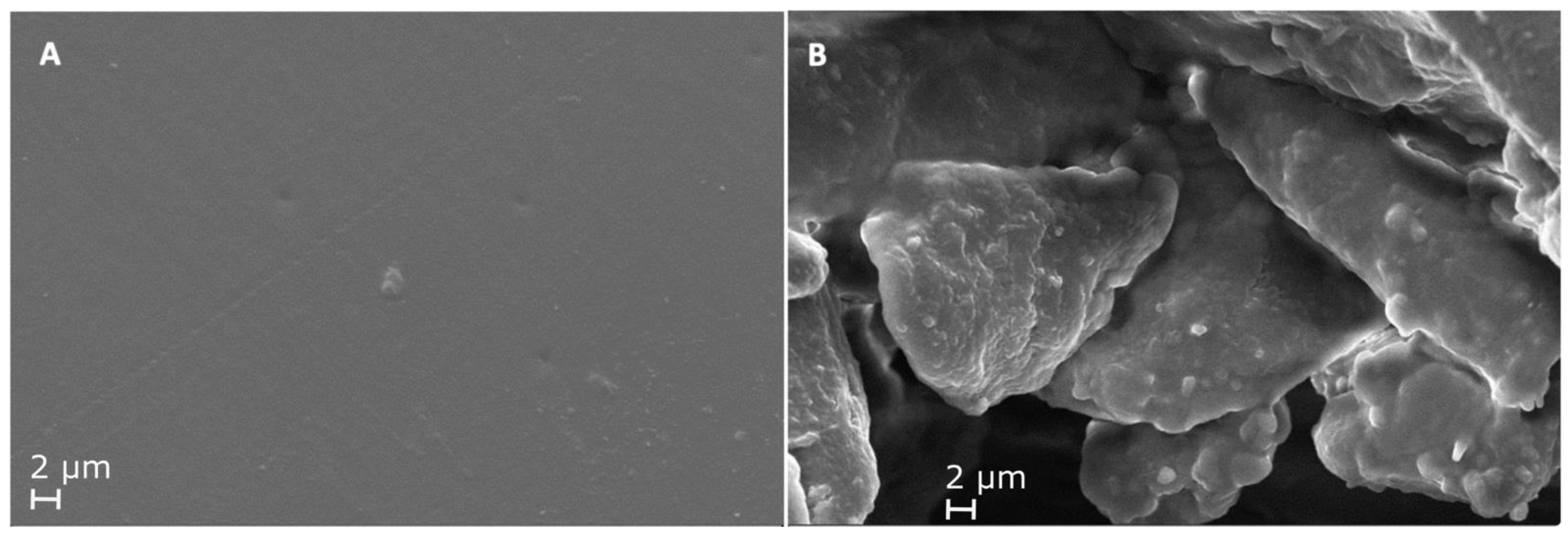 Applsci 13 03686 g006