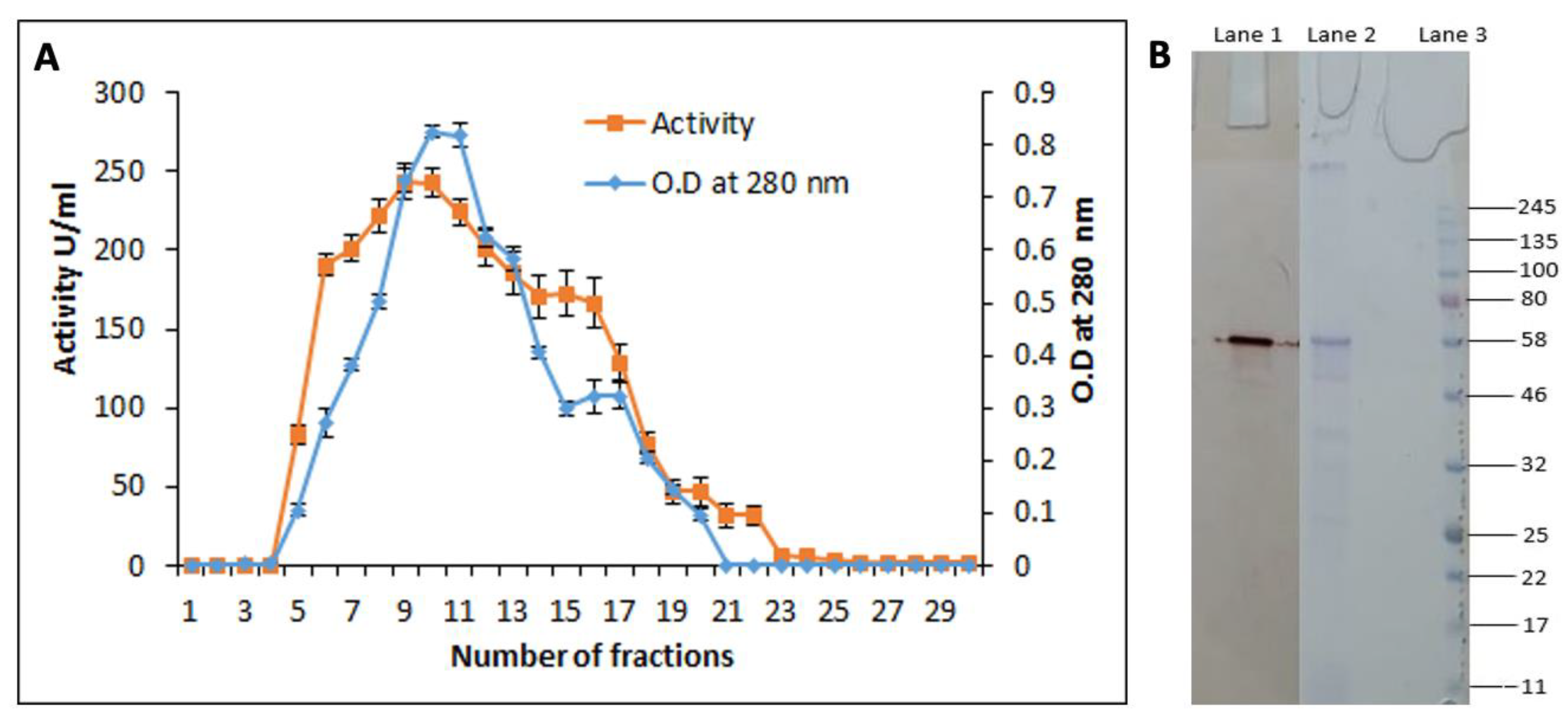 Applsci 13 03686 g008