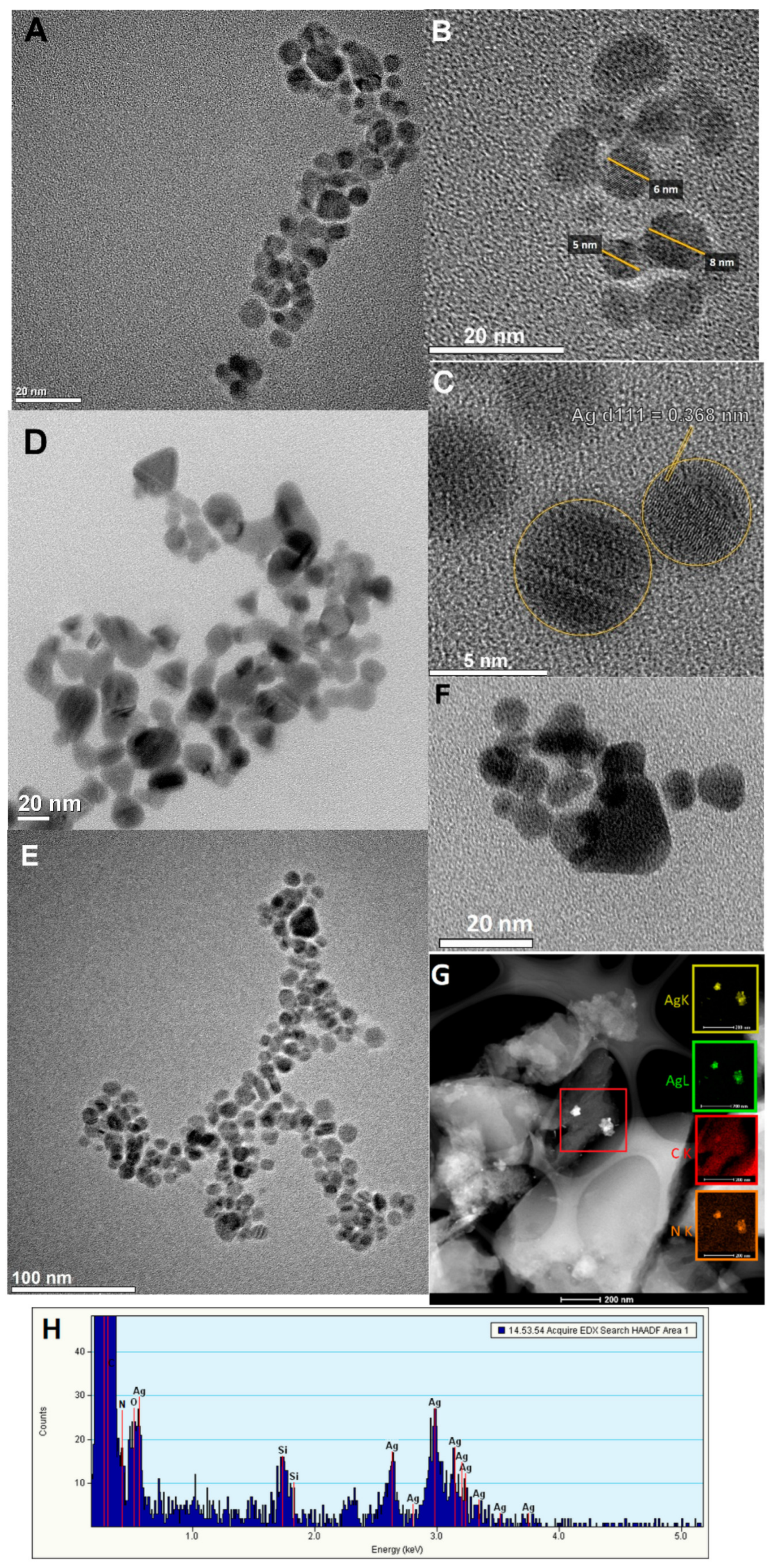 Applsci 13 03696 g005