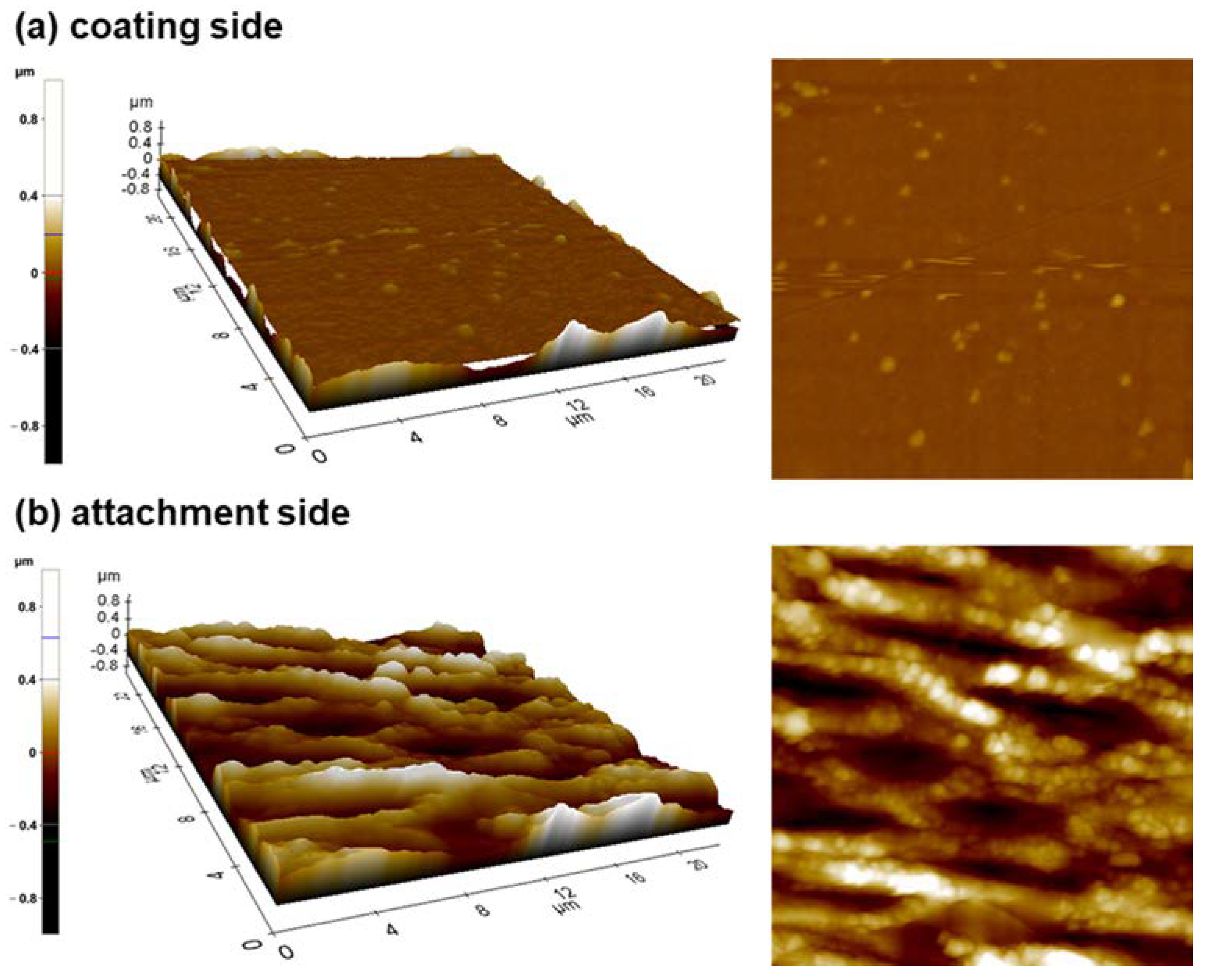 Applsci 13 03698 g005