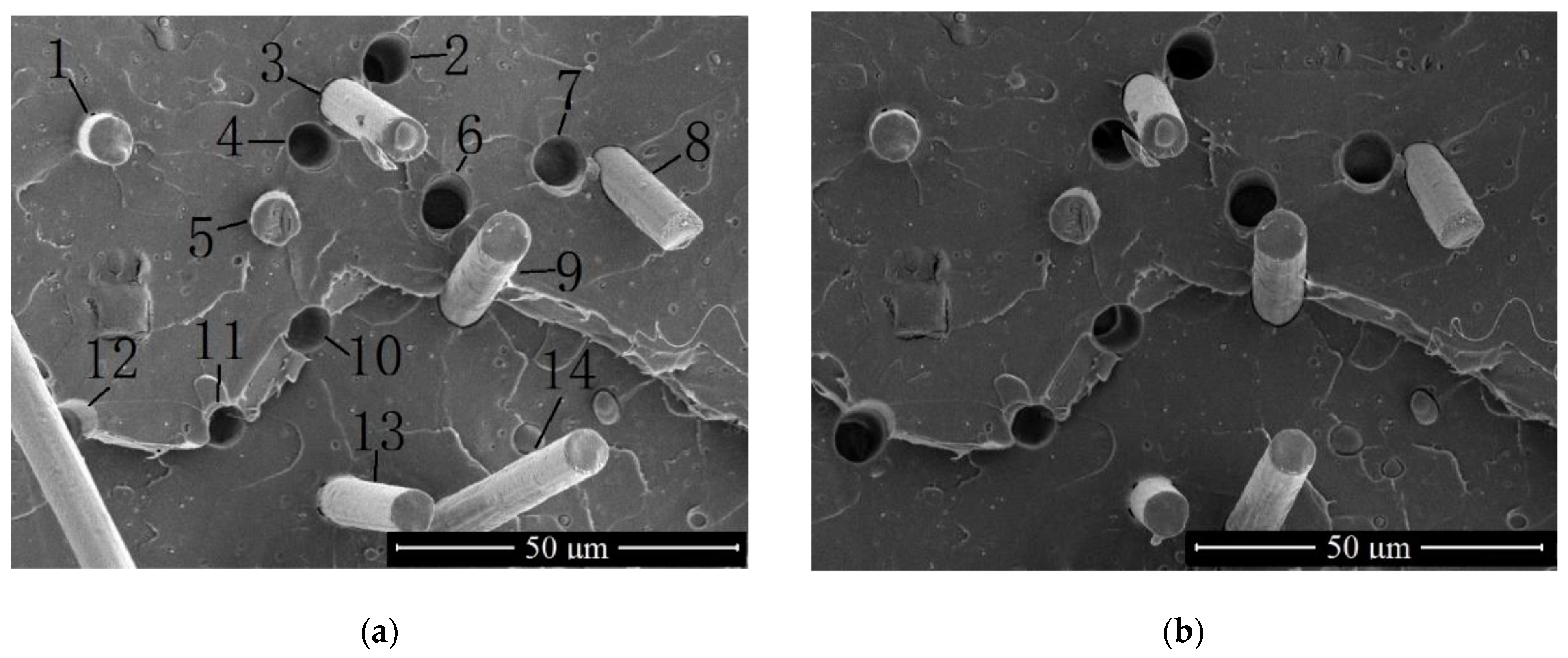 Applsci 13 03700 g009