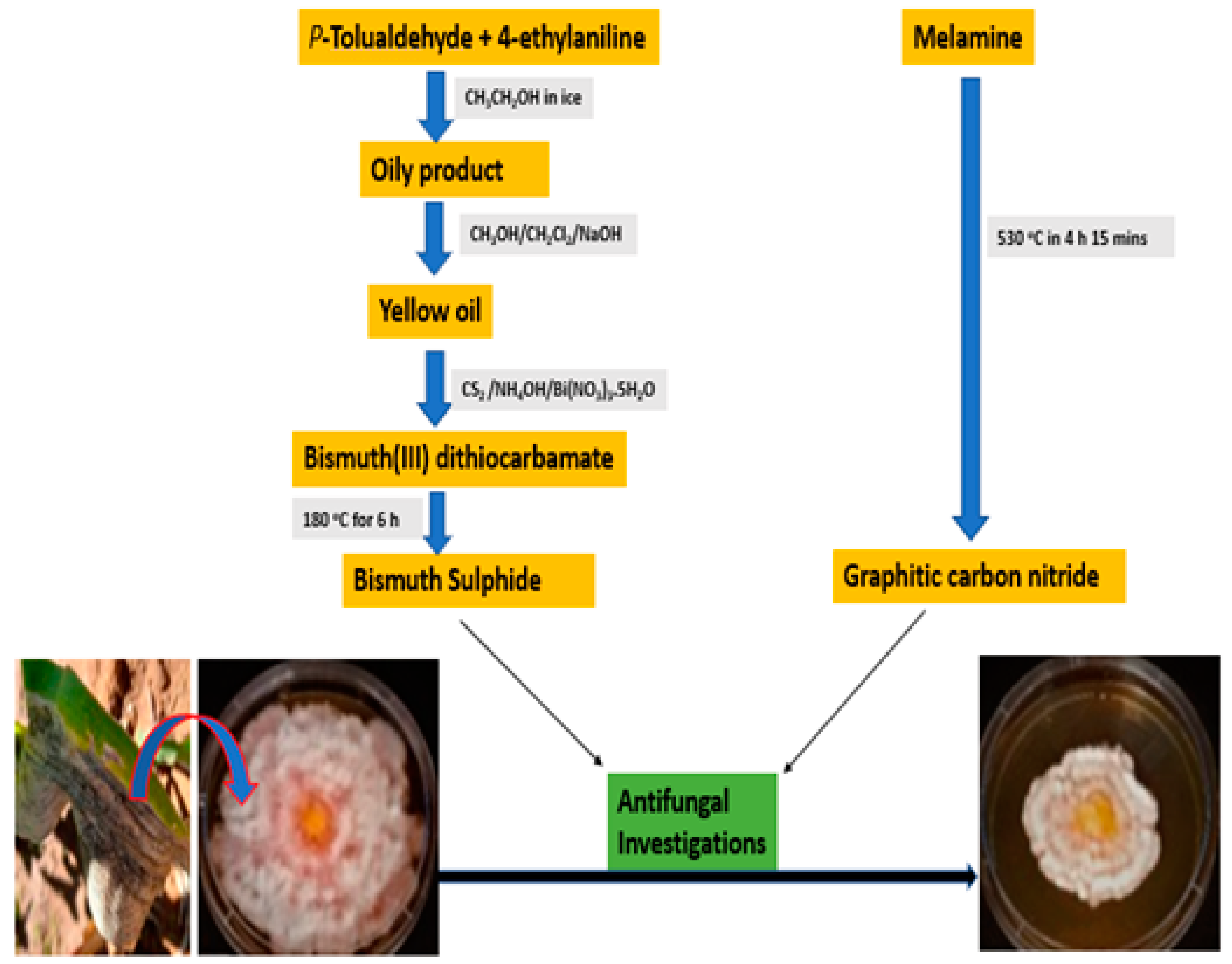 Applsci 13 03731 g001