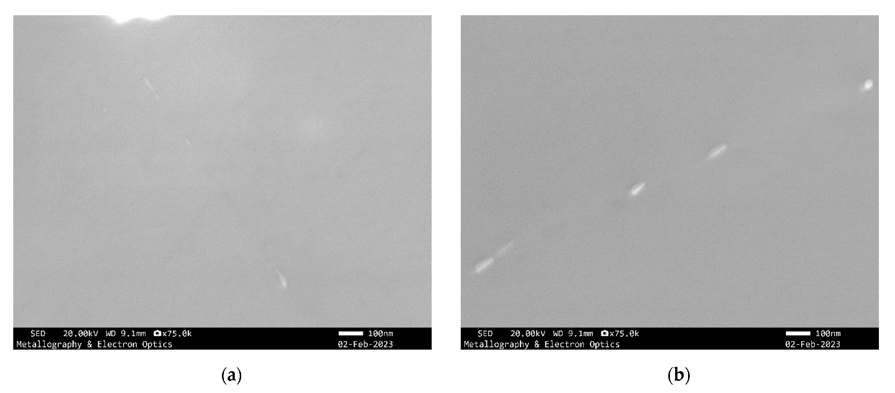 Applsci 13 03763 g007