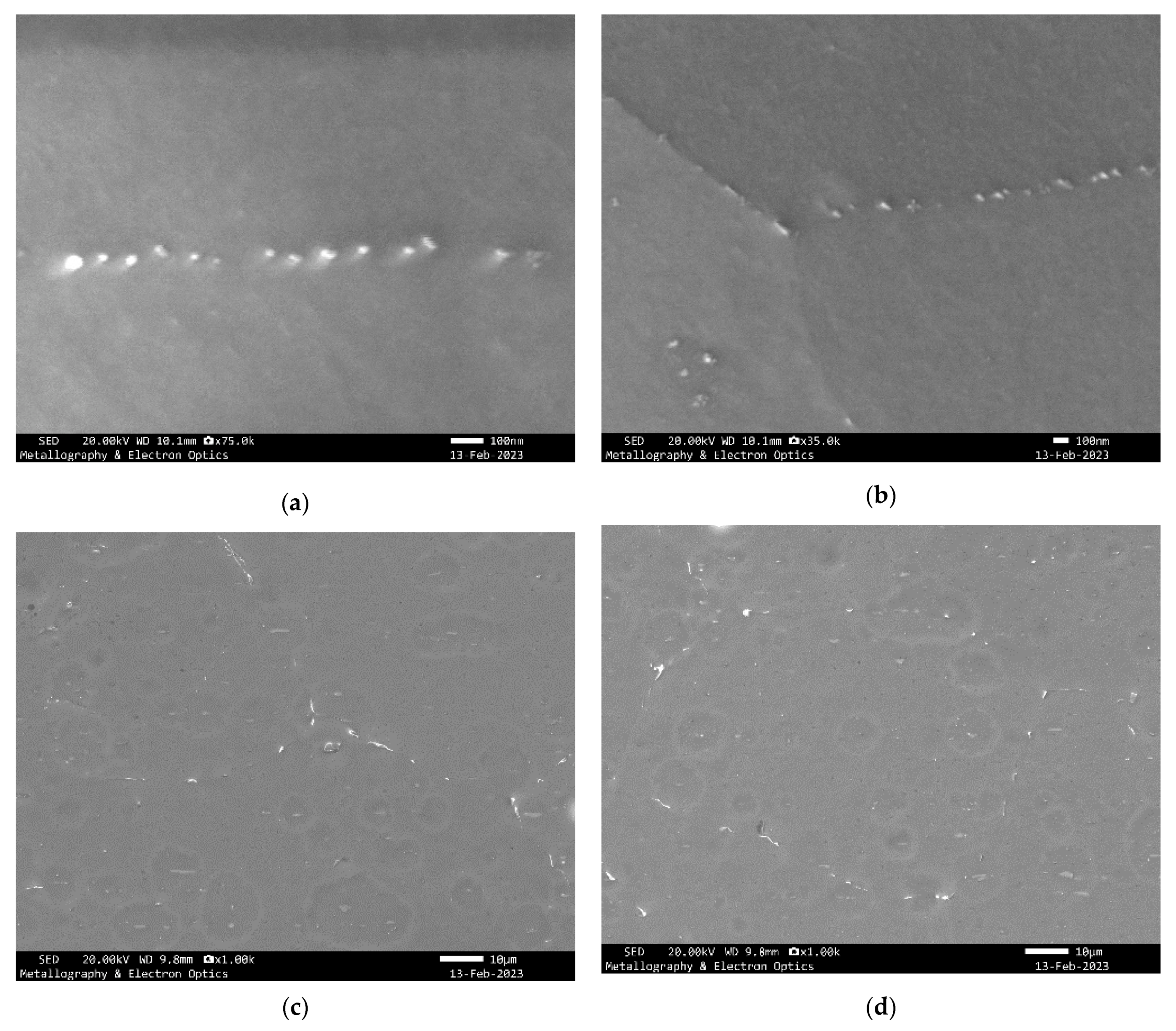 Applsci 13 03763 g010